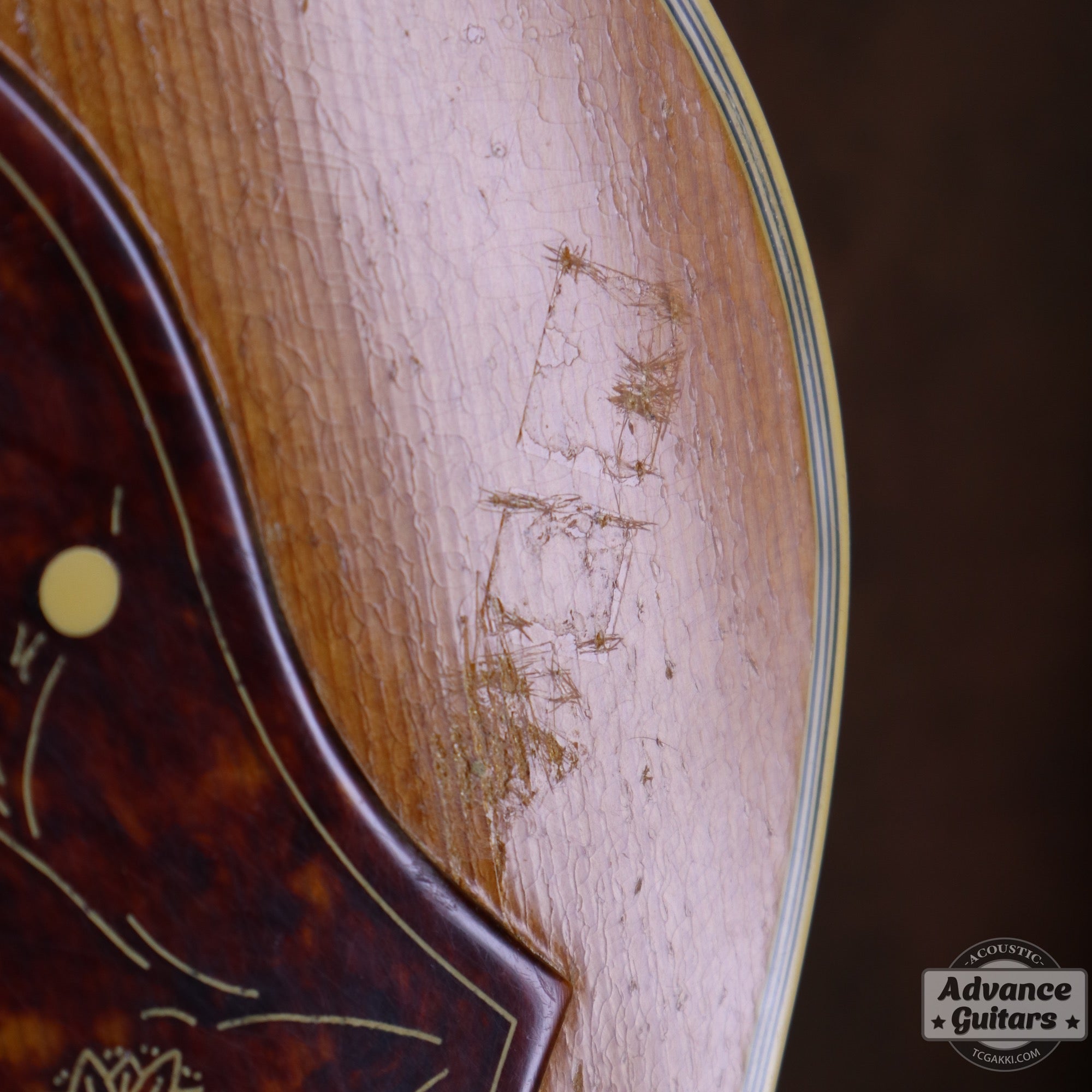Gibson 1953年製 J-200N - TC楽器 - TCGAKKI