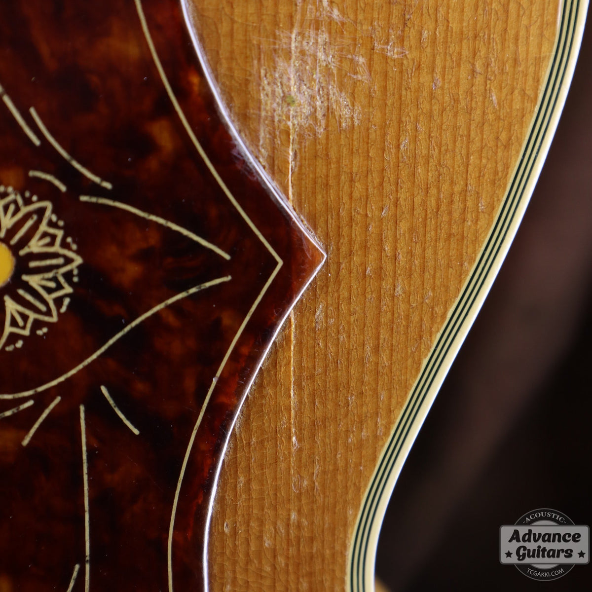 Gibson 1953年製 J-200N - TC楽器 - TCGAKKI