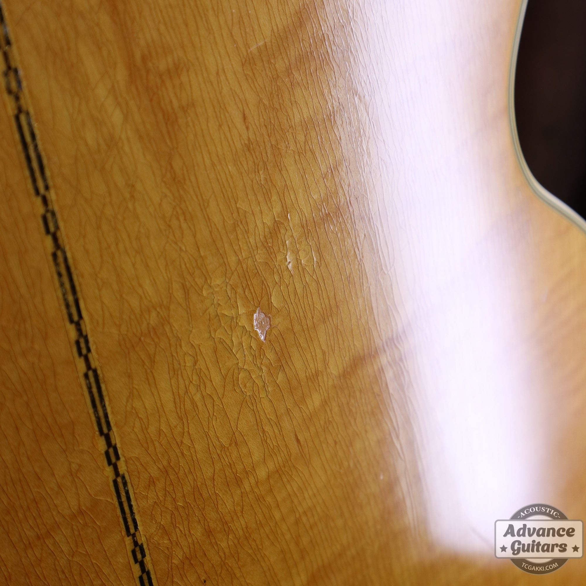 Gibson 1953年製 J-200N - TC楽器 - TCGAKKI