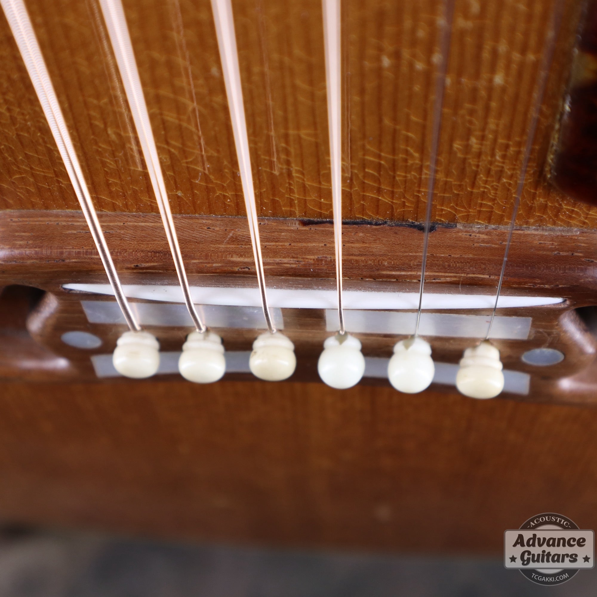 Gibson 1953年製 J-200N - TC楽器 - TCGAKKI