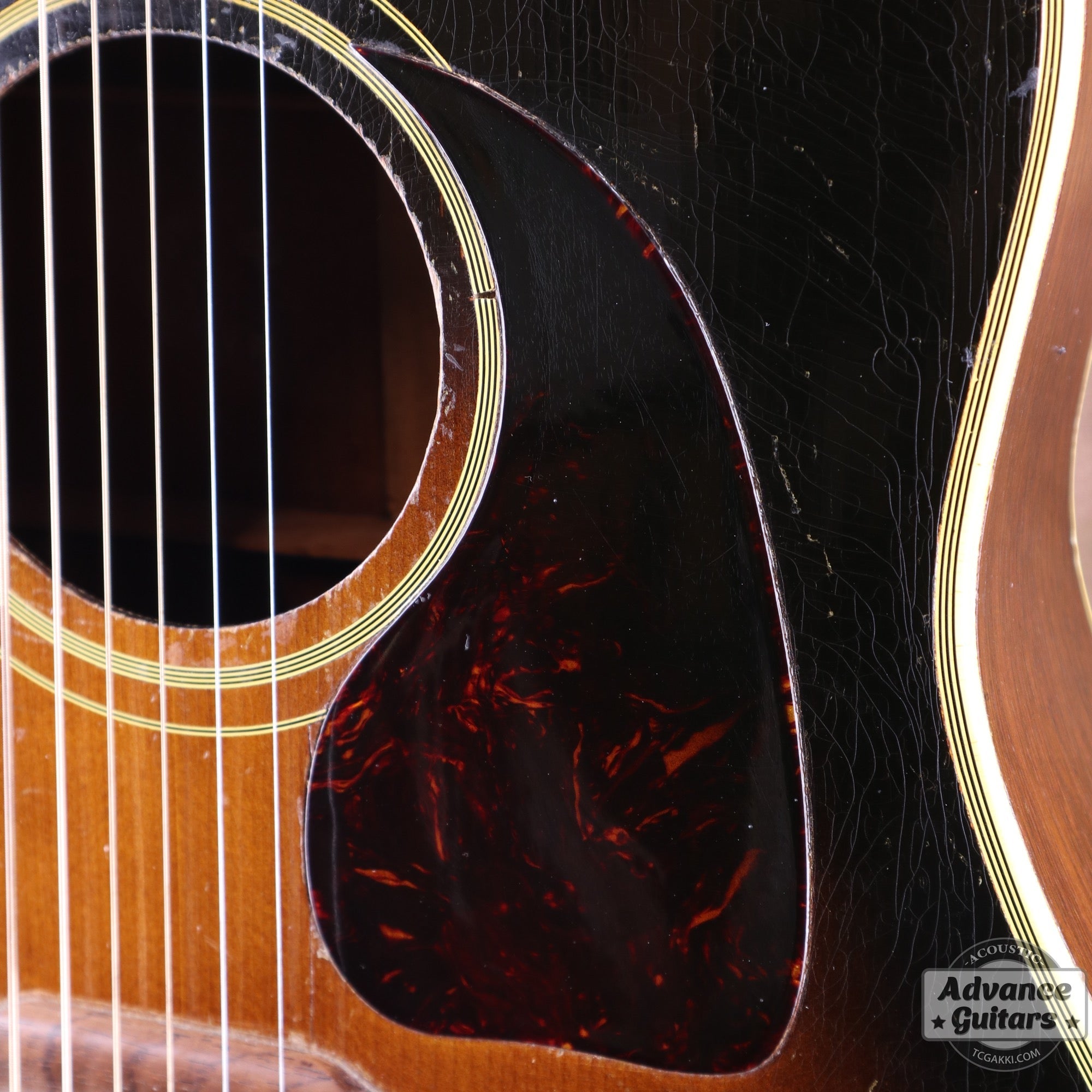 Gibson 1953年製 Southern Jumbo [Shipping Free〜8/31] - TC楽器 - TCGAKKI