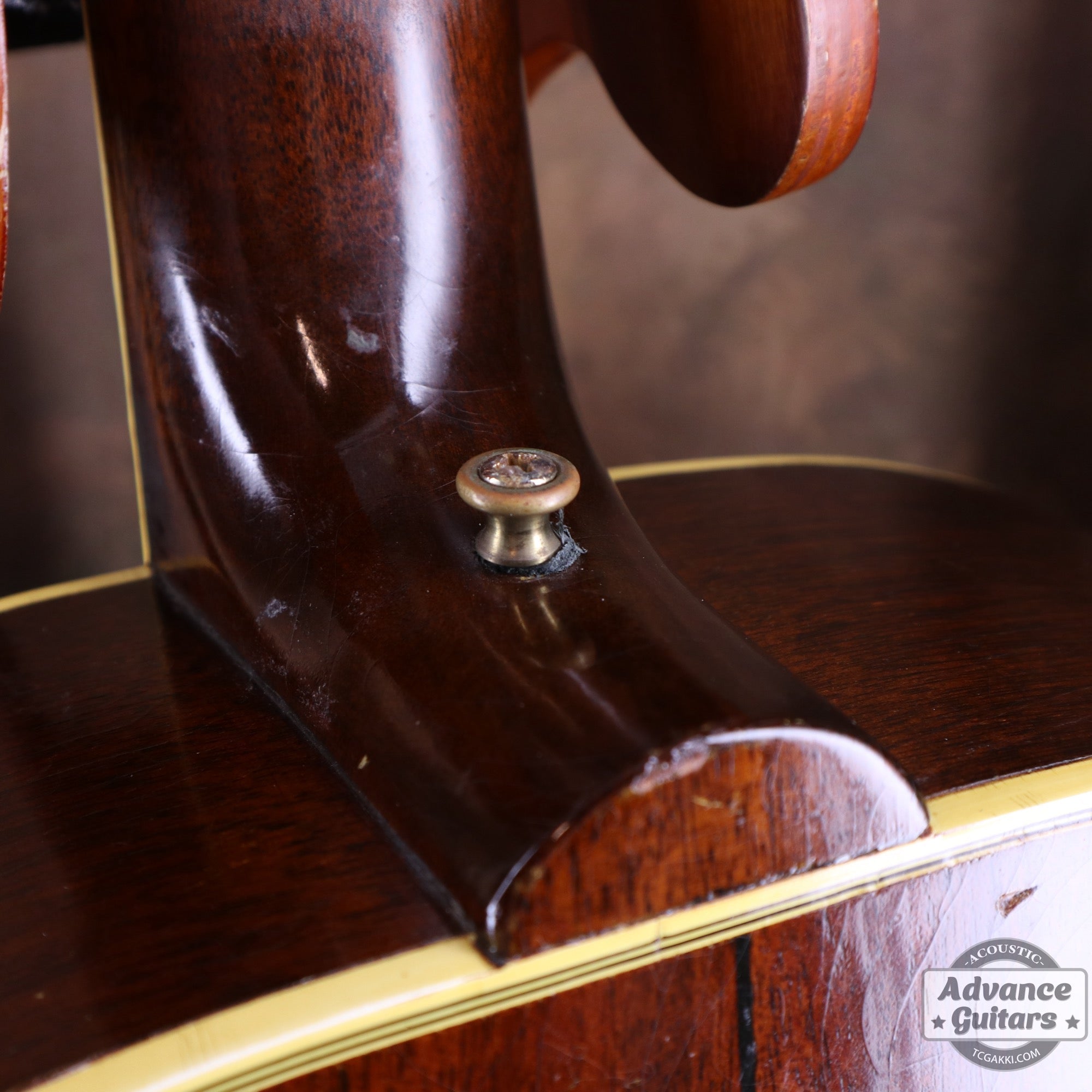 Gibson 1953年製 Southern Jumbo [Shipping Free〜8/31] - TC楽器 - TCGAKKI