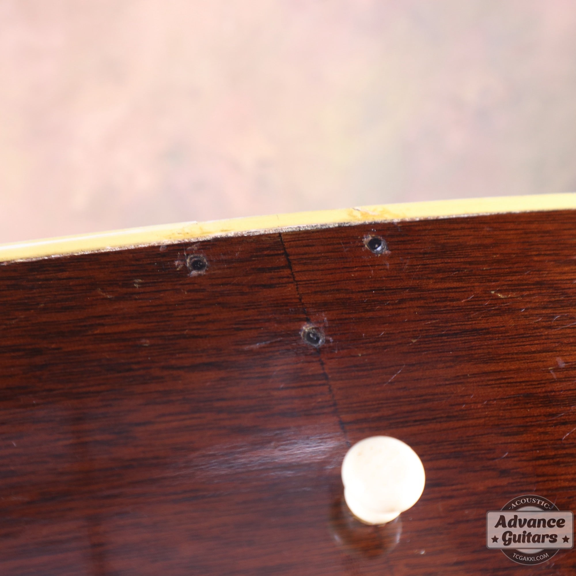 Gibson 1953年製 Southern Jumbo [Shipping Free〜8/31] - TC楽器 - TCGAKKI