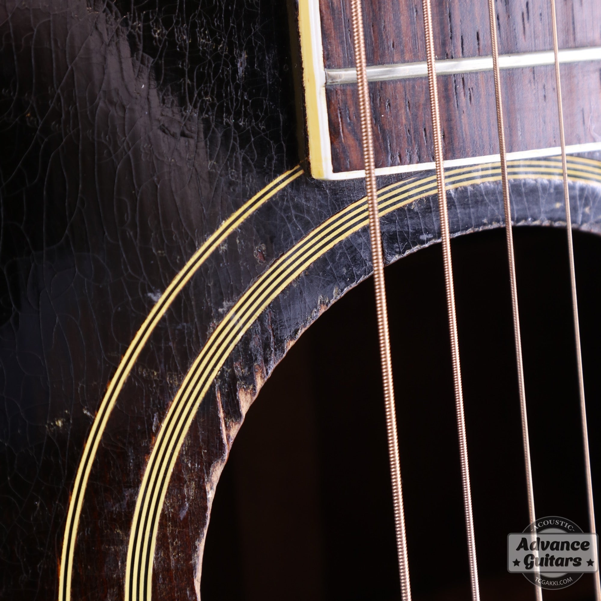 Gibson 1953年製 Southern Jumbo [Shipping Free〜8/31] - TC楽器 - TCGAKKI