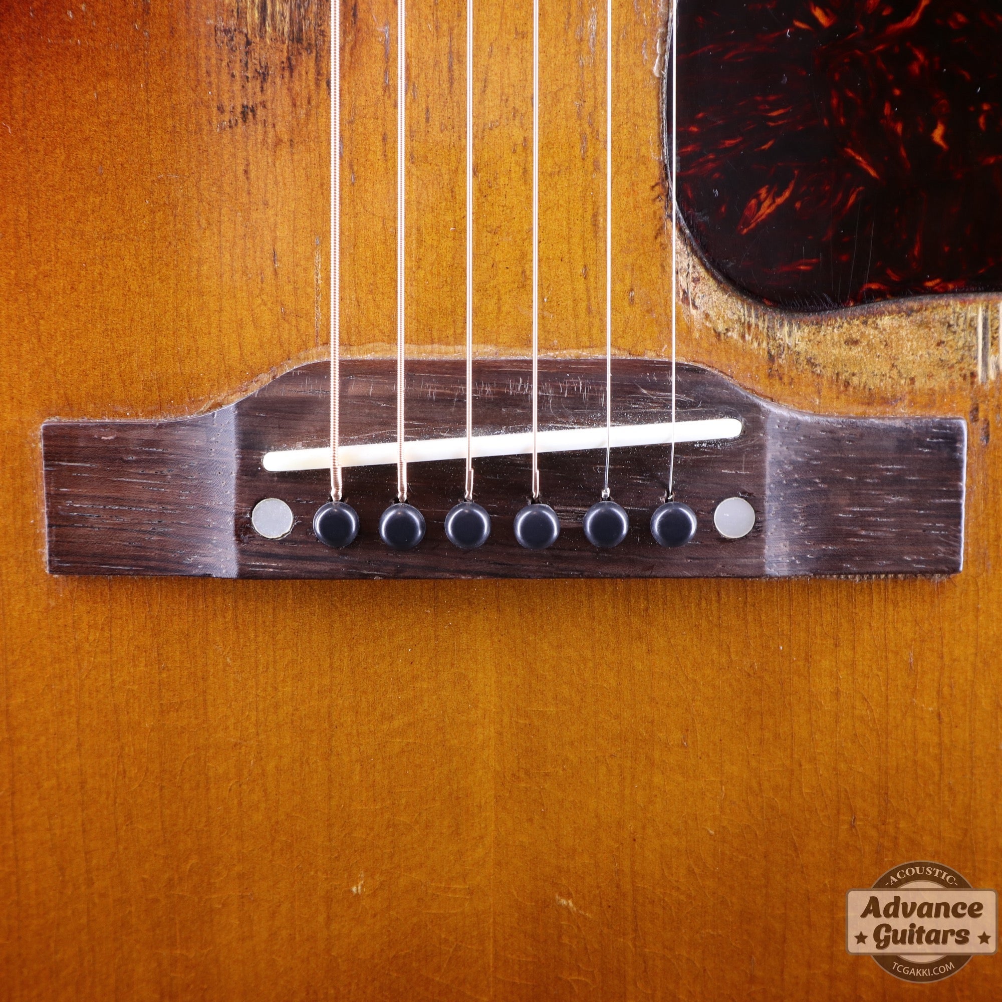 Gibson 1954年製 J-45 [Shipping Free〜8/31] - TC楽器 - TCGAKKI