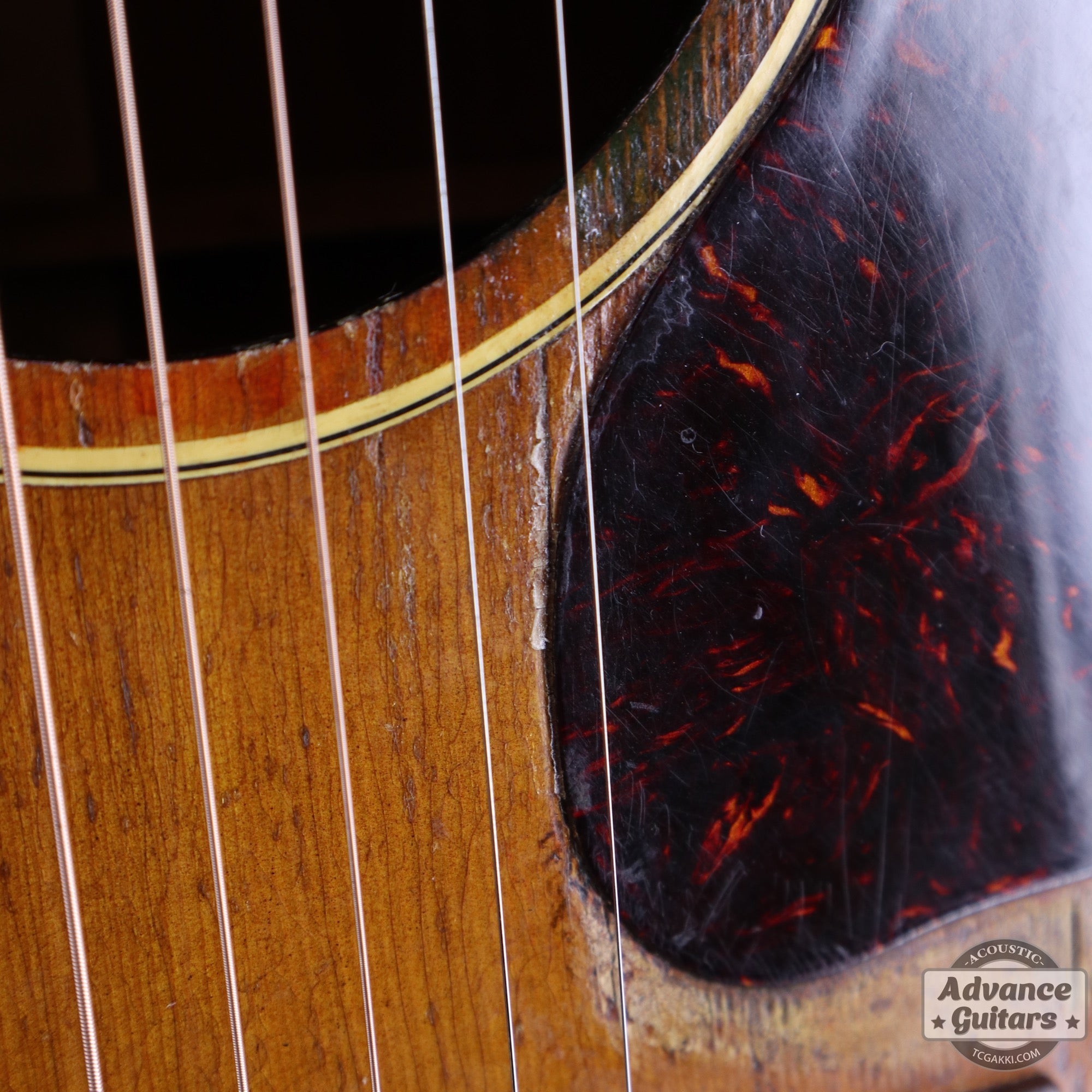 Gibson 1954年製 J-45 [Shipping Free〜8/31] - TC楽器 - TCGAKKI