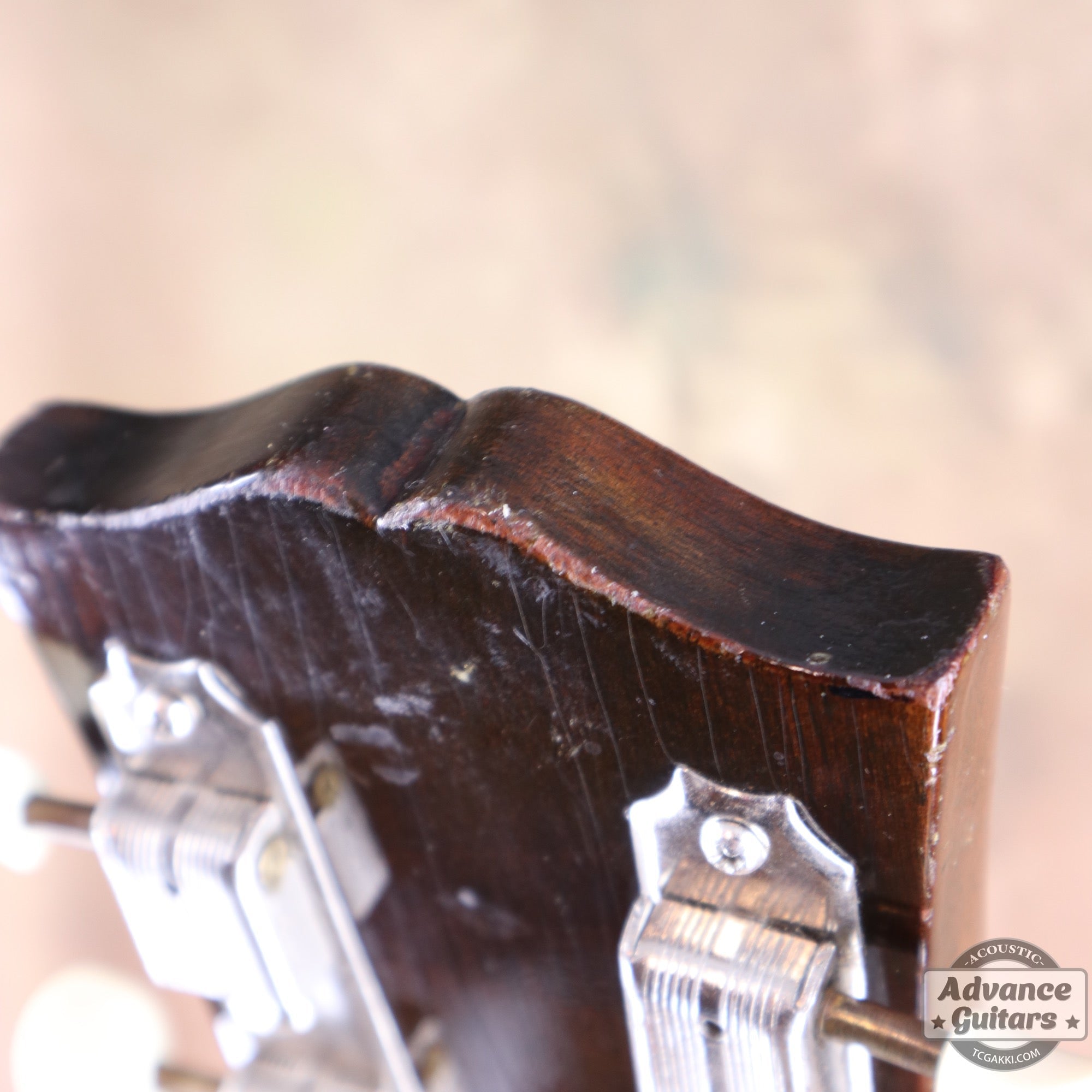 Gibson 1954年製 J-45 [Shipping Free〜8/31] - TC楽器 - TCGAKKI