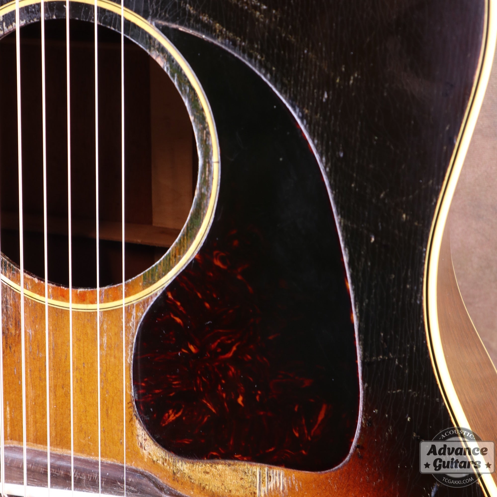 Gibson 1954年製 J-45 [Shipping Free〜8/31] - TC楽器 - TCGAKKI