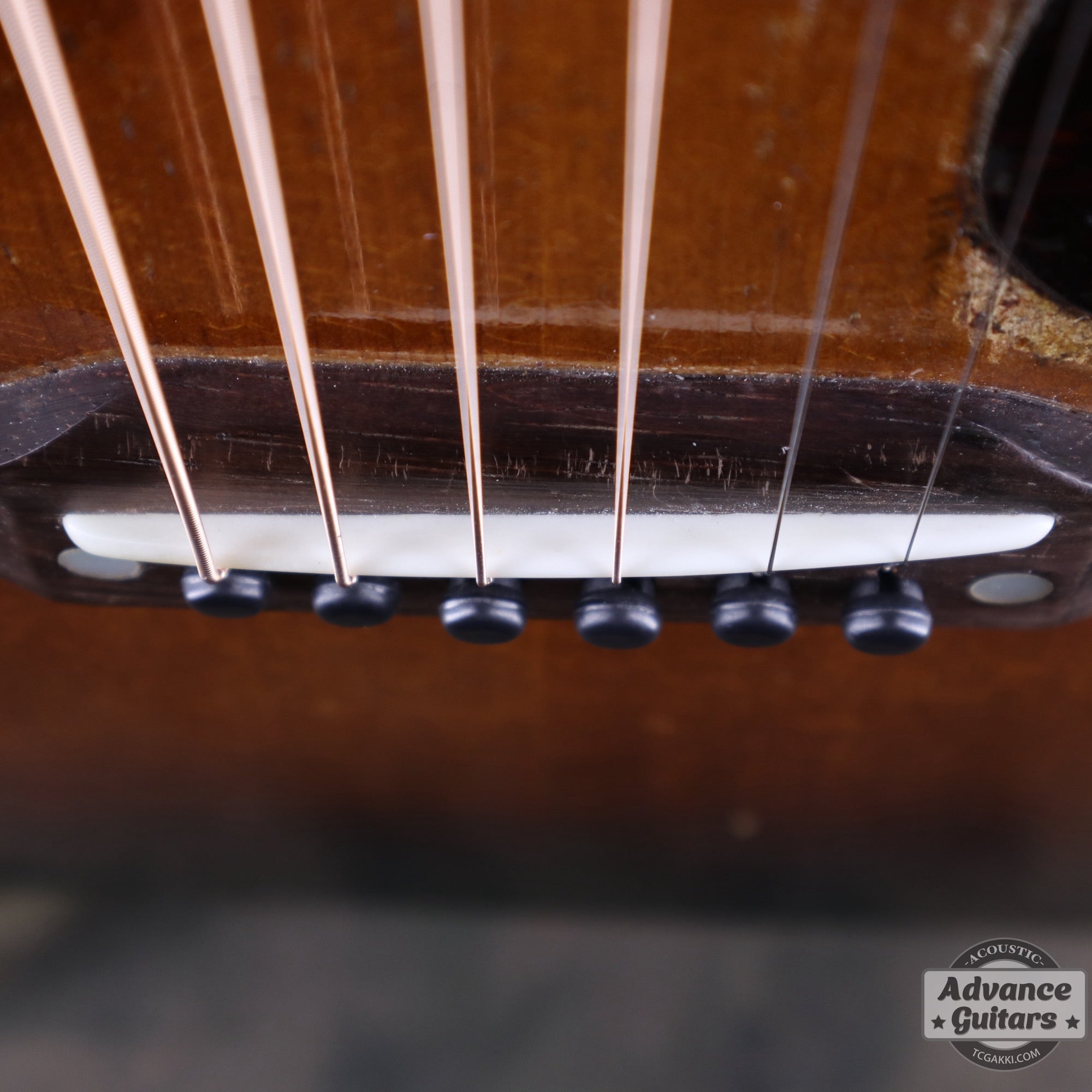 Gibson 1954年製 J-45 [Shipping Free〜8/31] - TC楽器 - TCGAKKI