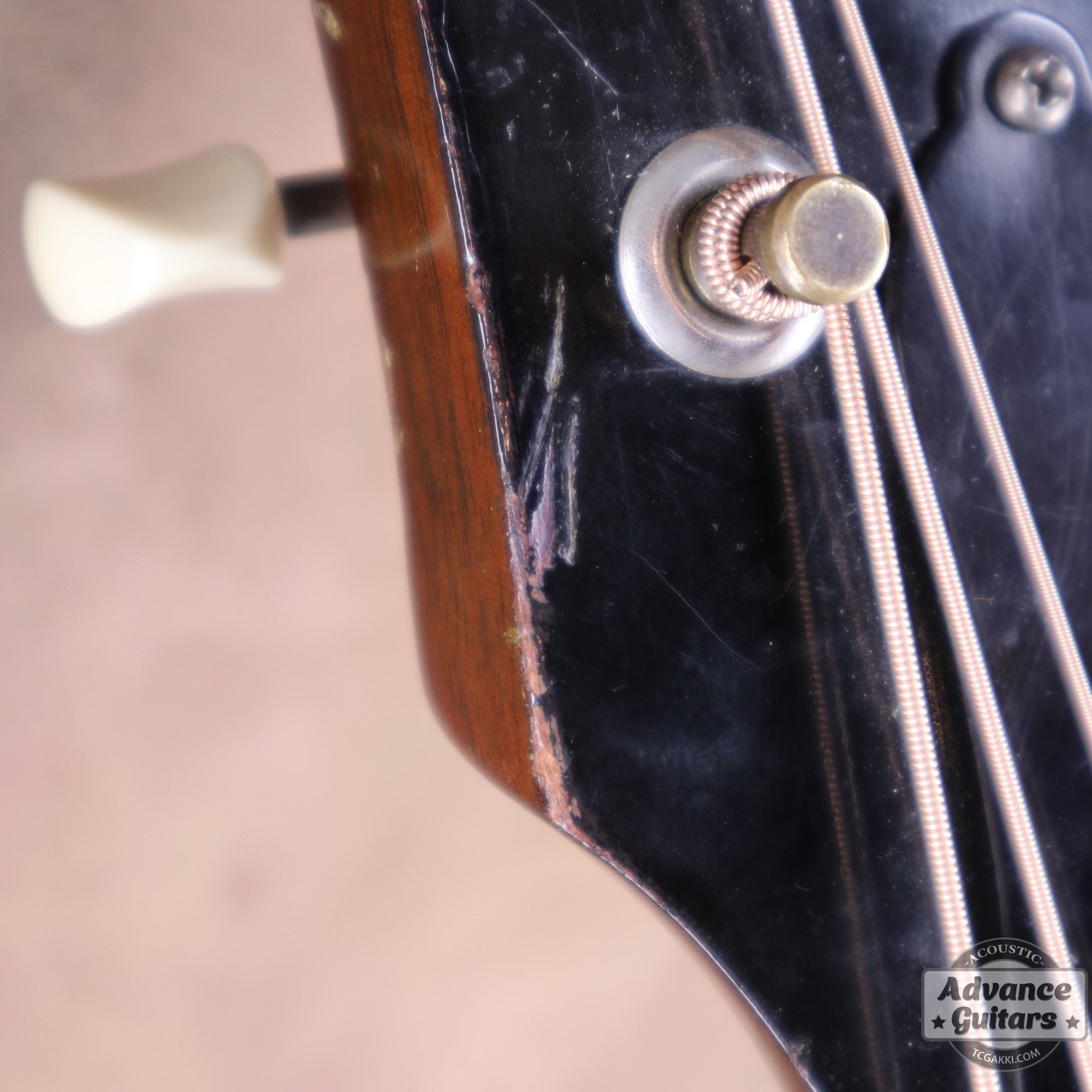 Gibson 1954年製 J-45 [Shipping Free〜8/31] - TC楽器 - TCGAKKI