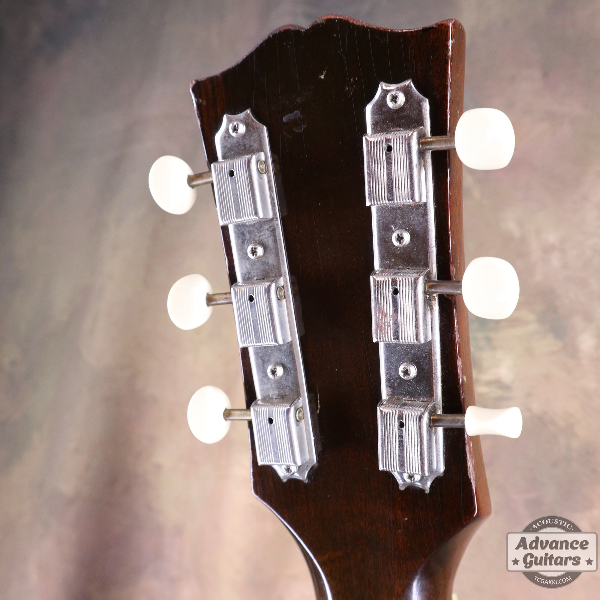 Gibson 1954年製 J-45 [Shipping Free〜8/31] - TC楽器 - TCGAKKI