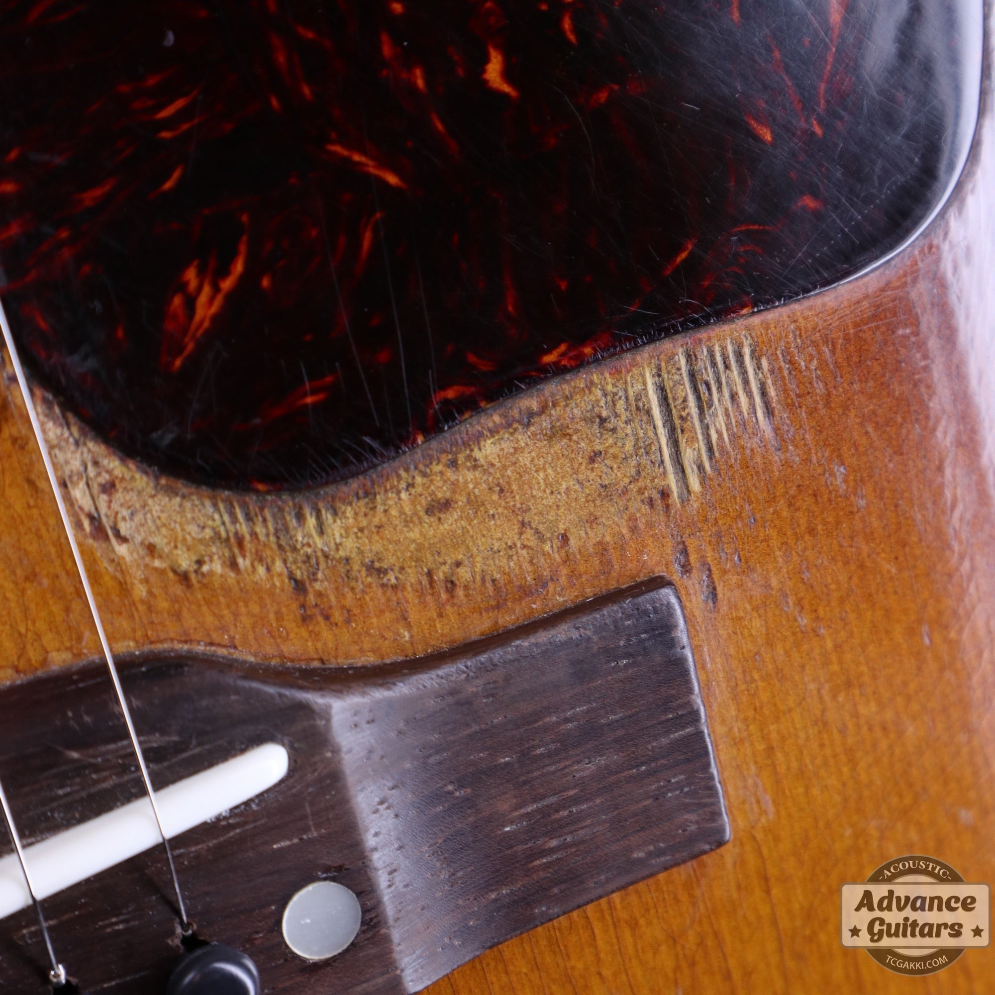 Gibson 1954年製 J-45 [Shipping Free〜8/31] - TC楽器 - TCGAKKI