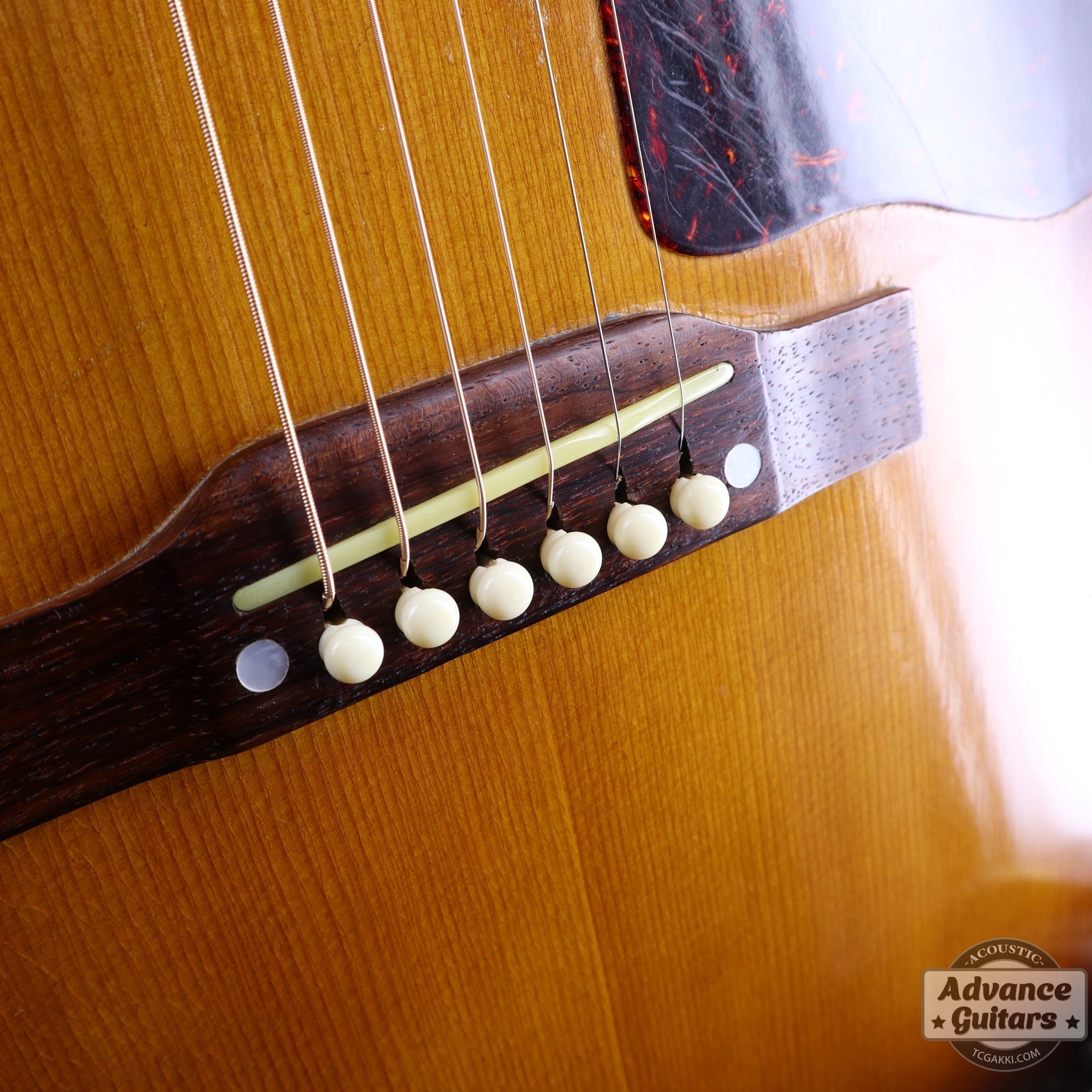 Gibson 1955年製 J - 45 - TC楽器 - TCGAKKI