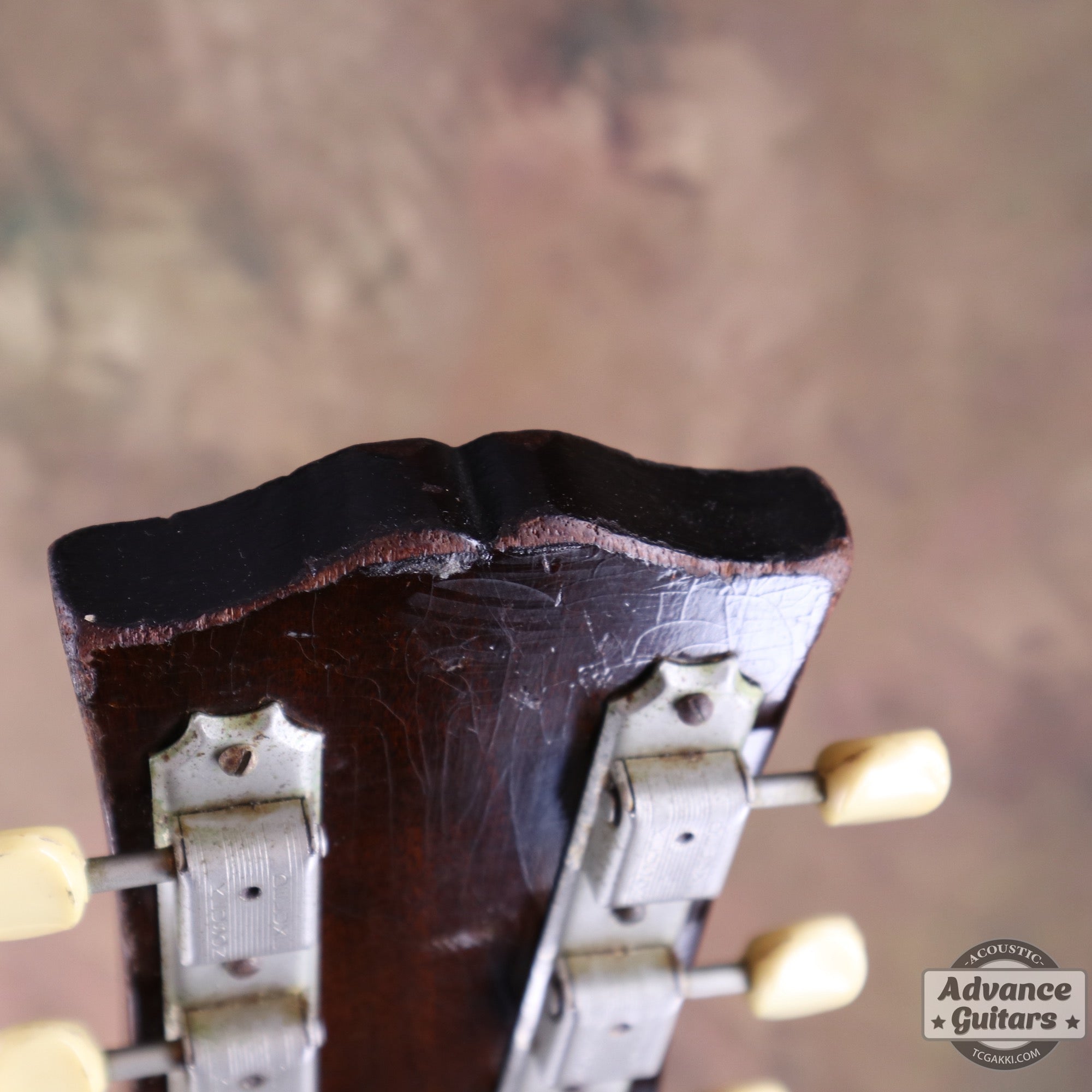 Gibson 1955年製 J-45 - TC楽器 - TCGAKKI