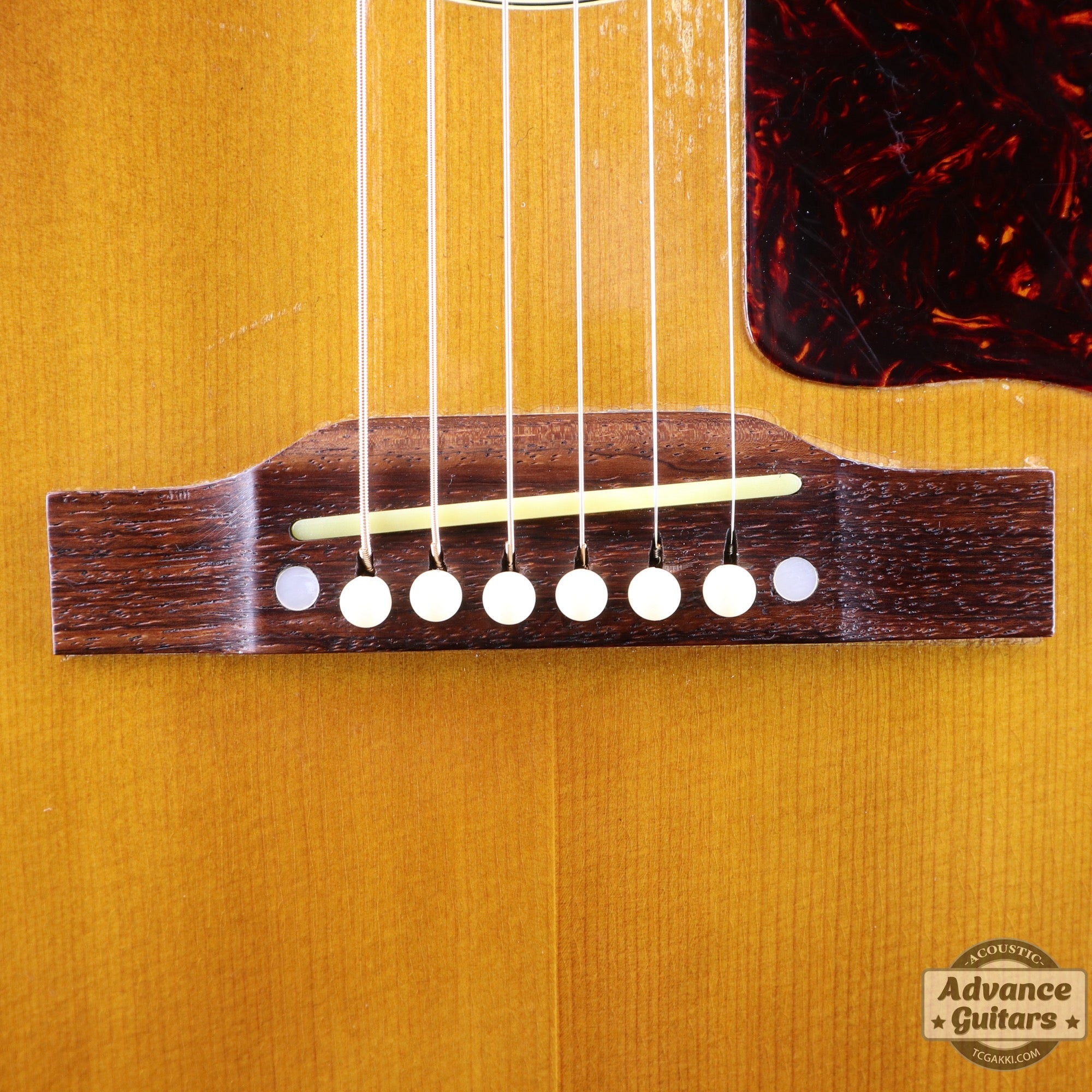 Gibson 1955年製 J - 45 - TC楽器 - TCGAKKI