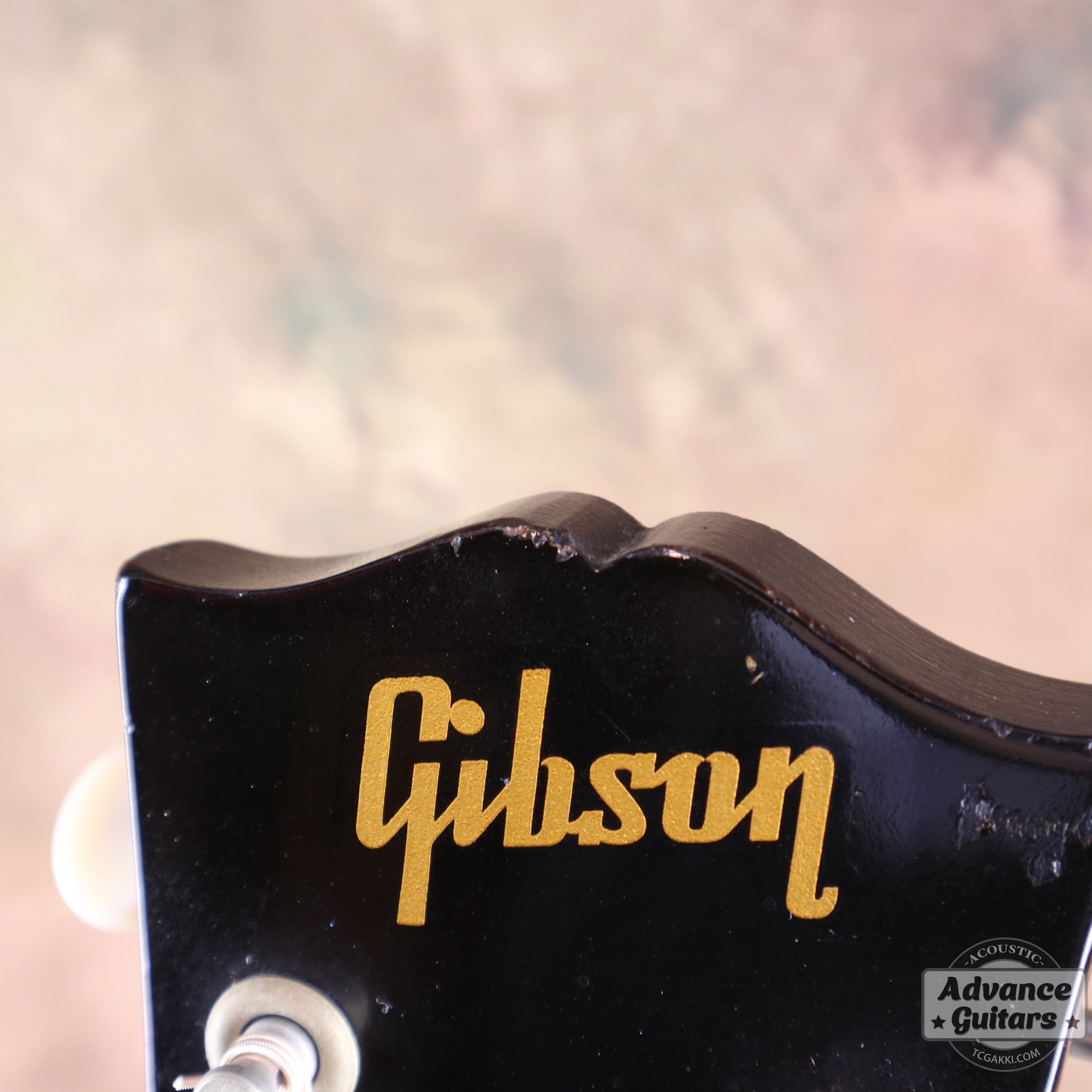 Gibson 1955年製 J - 45 - TC楽器 - TCGAKKI