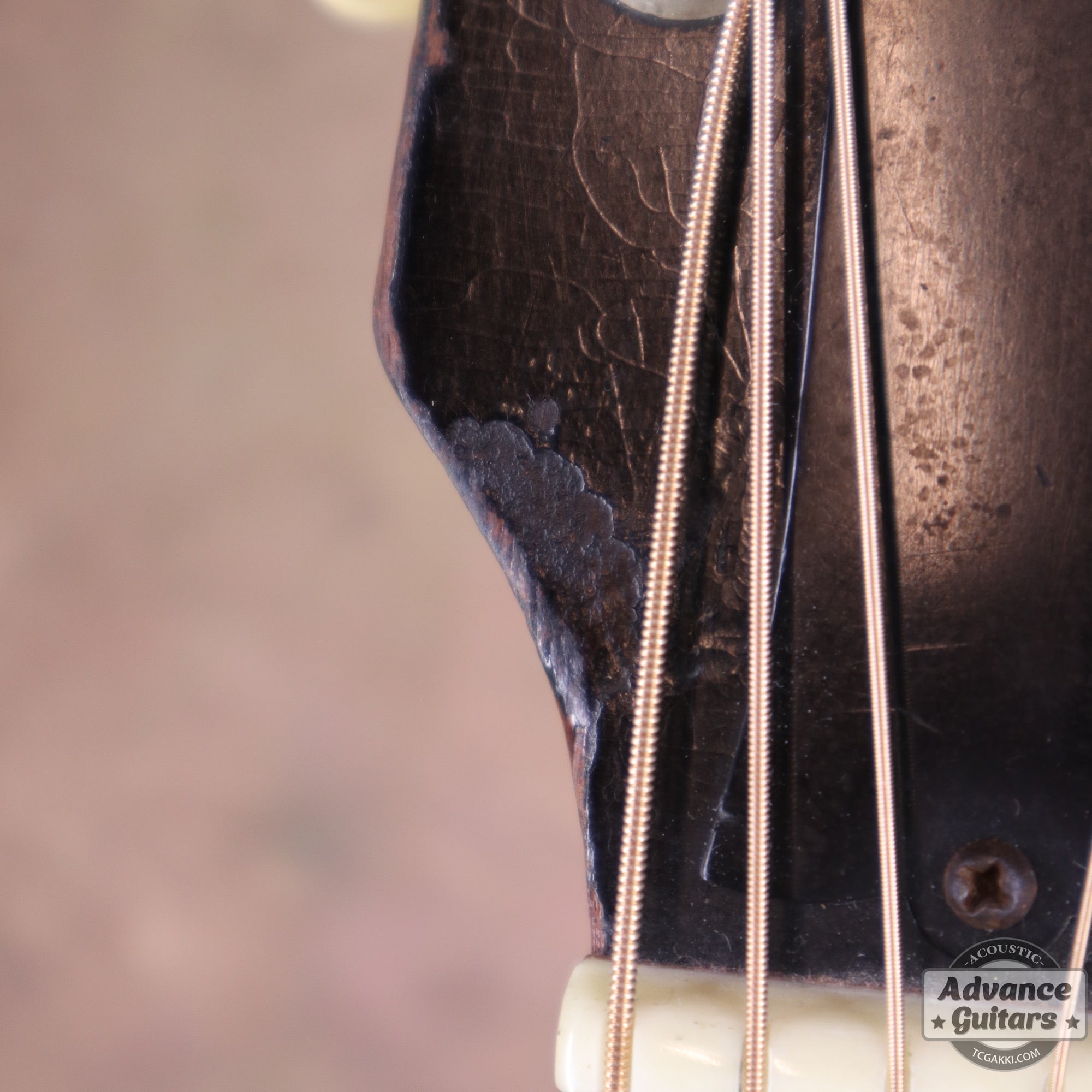 Gibson 1955年製 J-45 - TC楽器 - TCGAKKI