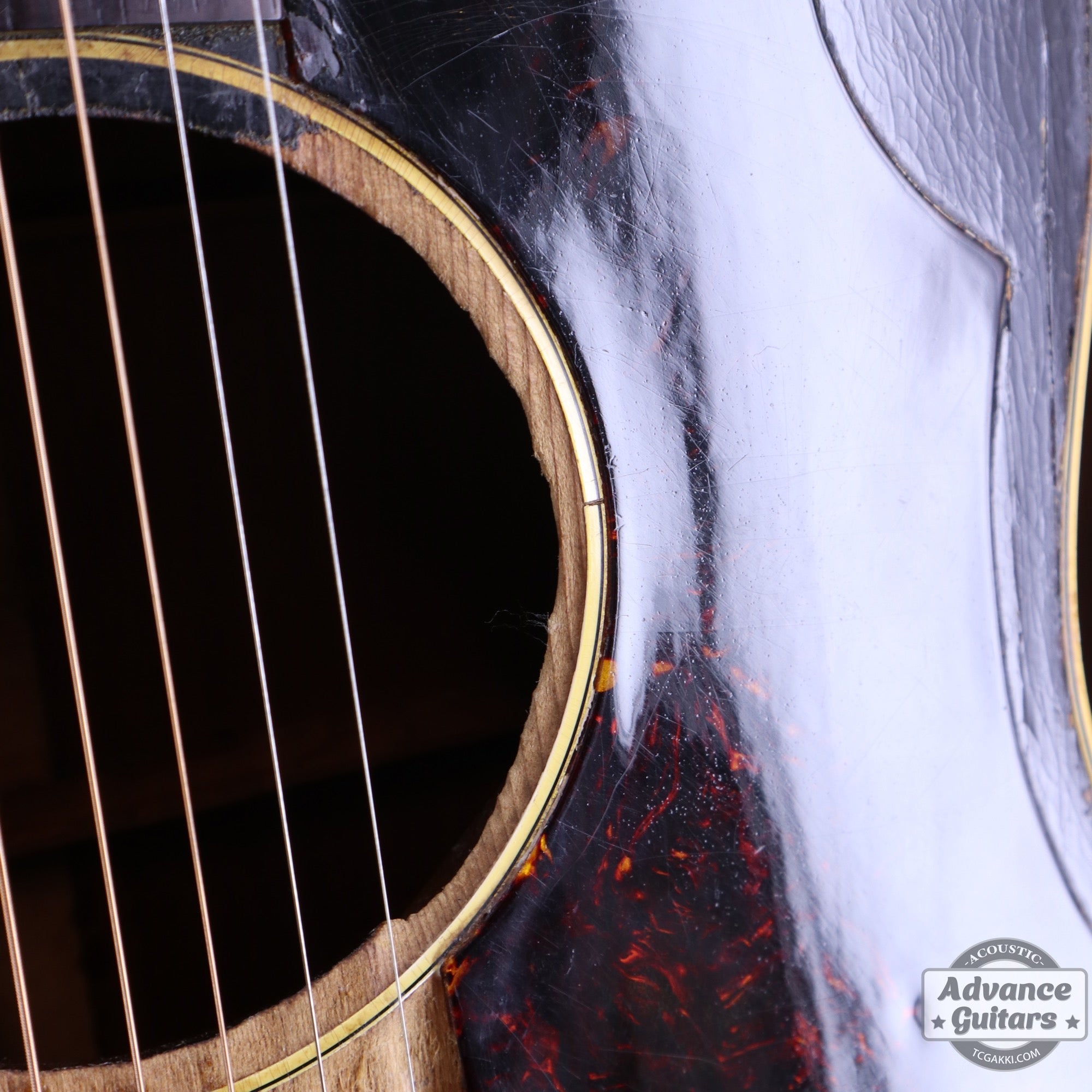 Gibson 1955年製 J-45 - TC楽器 - TCGAKKI