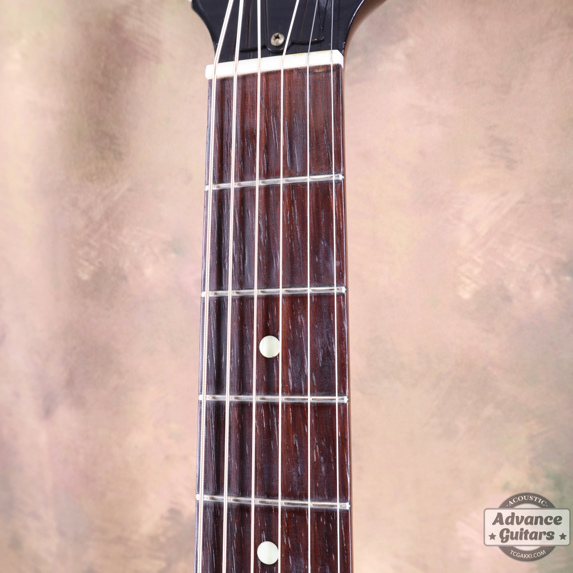 Gibson 1955年製 J - 45 - TC楽器 - TCGAKKI