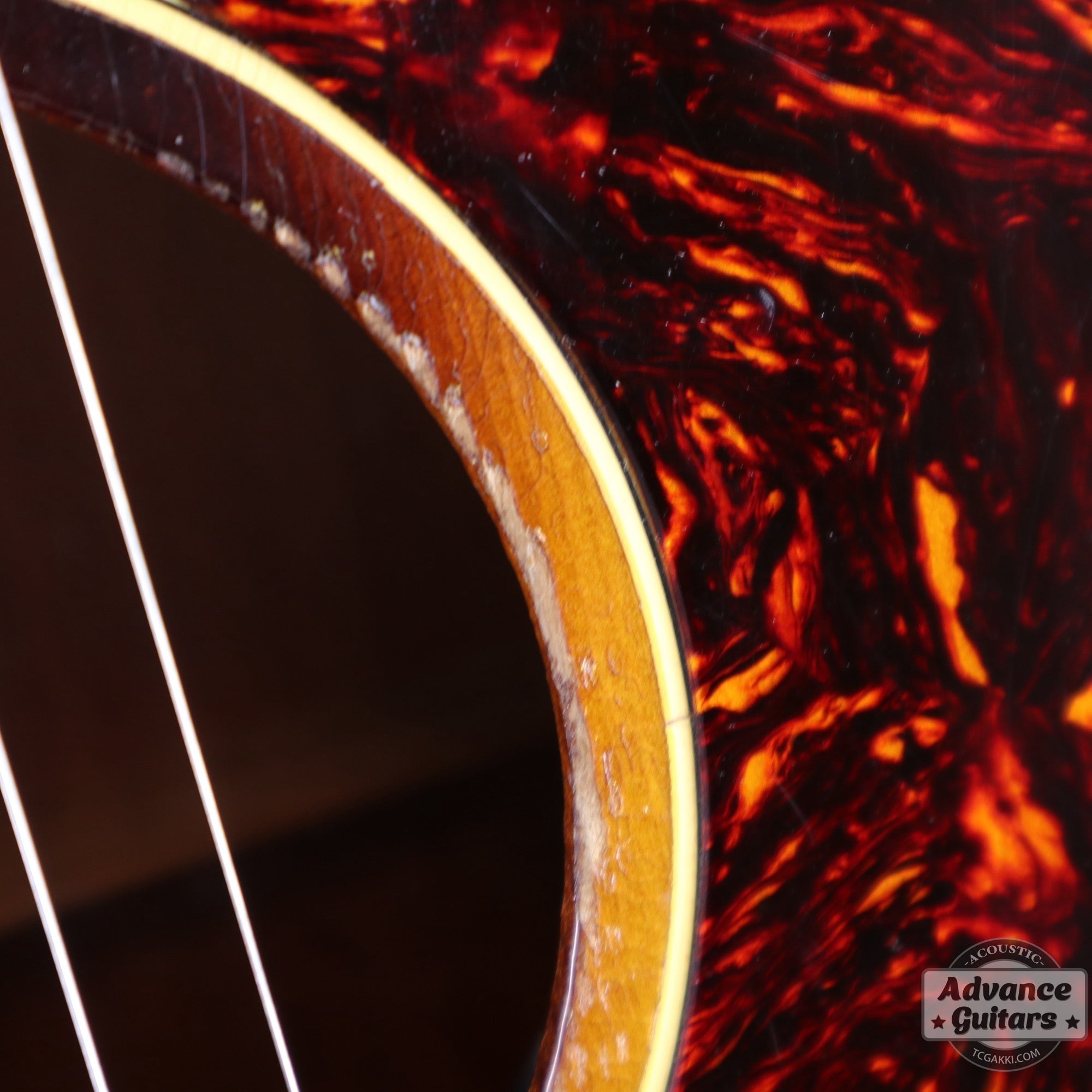 Gibson 1957年製 CF-100E - TC楽器 - TCGAKKI