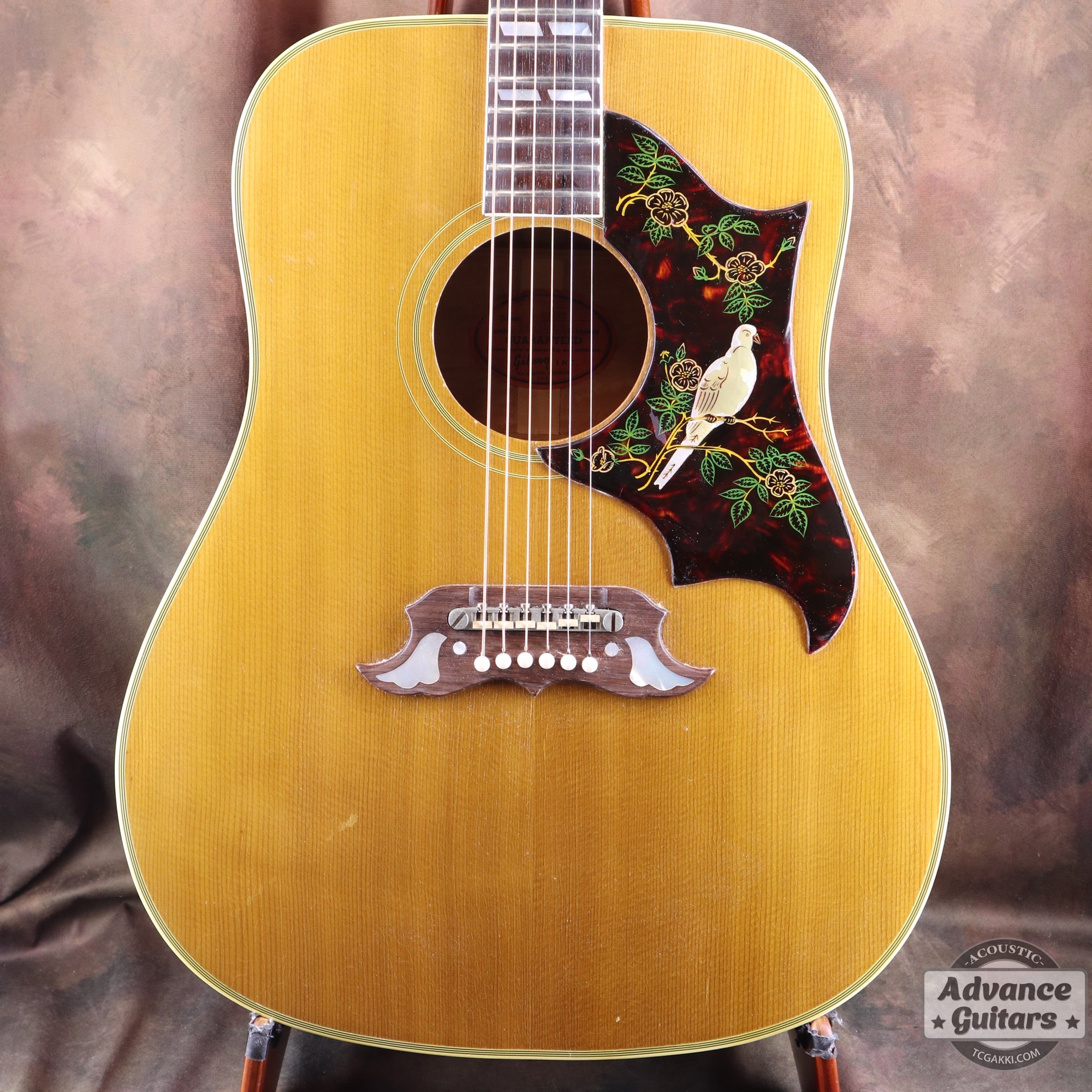 Gibson 1963年製 DOVE - TC楽器 - TCGAKKI