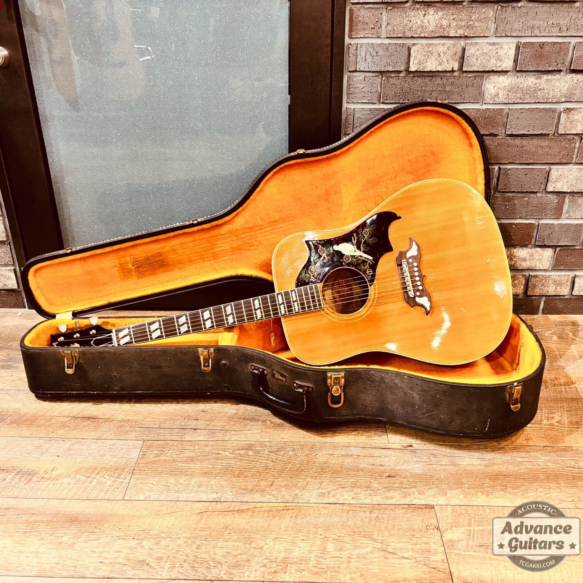 Gibson 1963年製 DOVE - TC楽器 - TCGAKKI