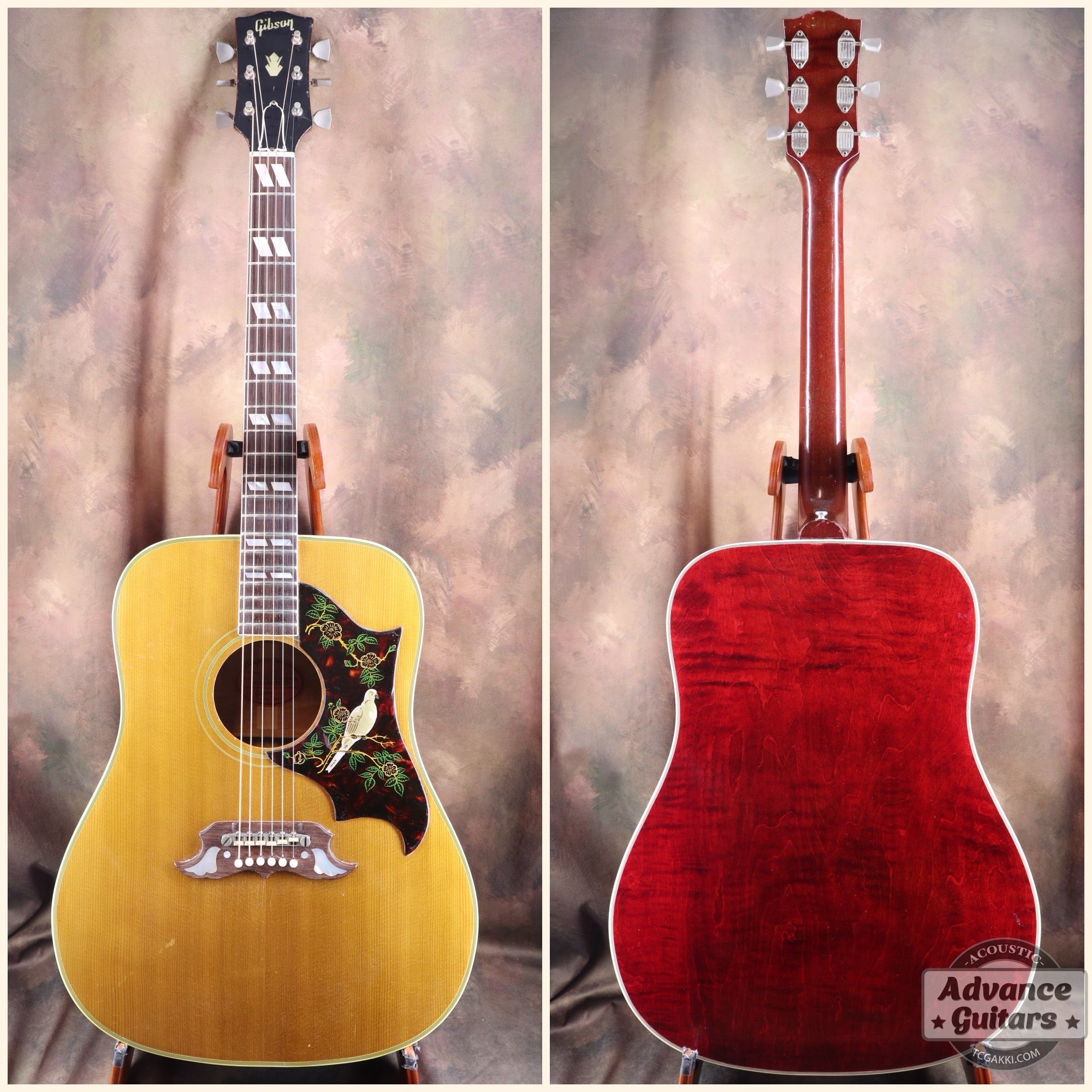 Gibson 1963年製 DOVE - TC楽器 - TCGAKKI