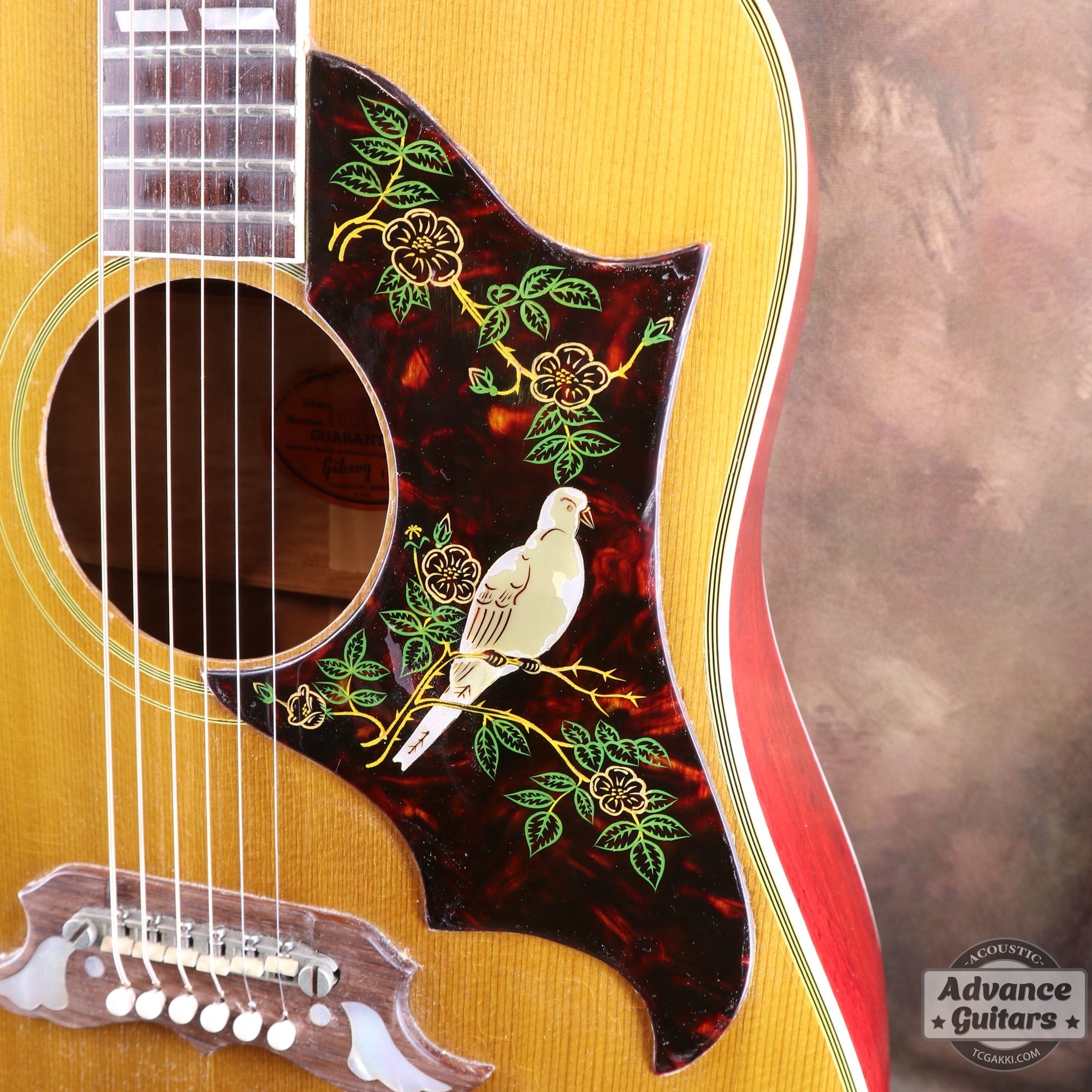 Gibson 1963年製 DOVE - TC楽器 - TCGAKKI