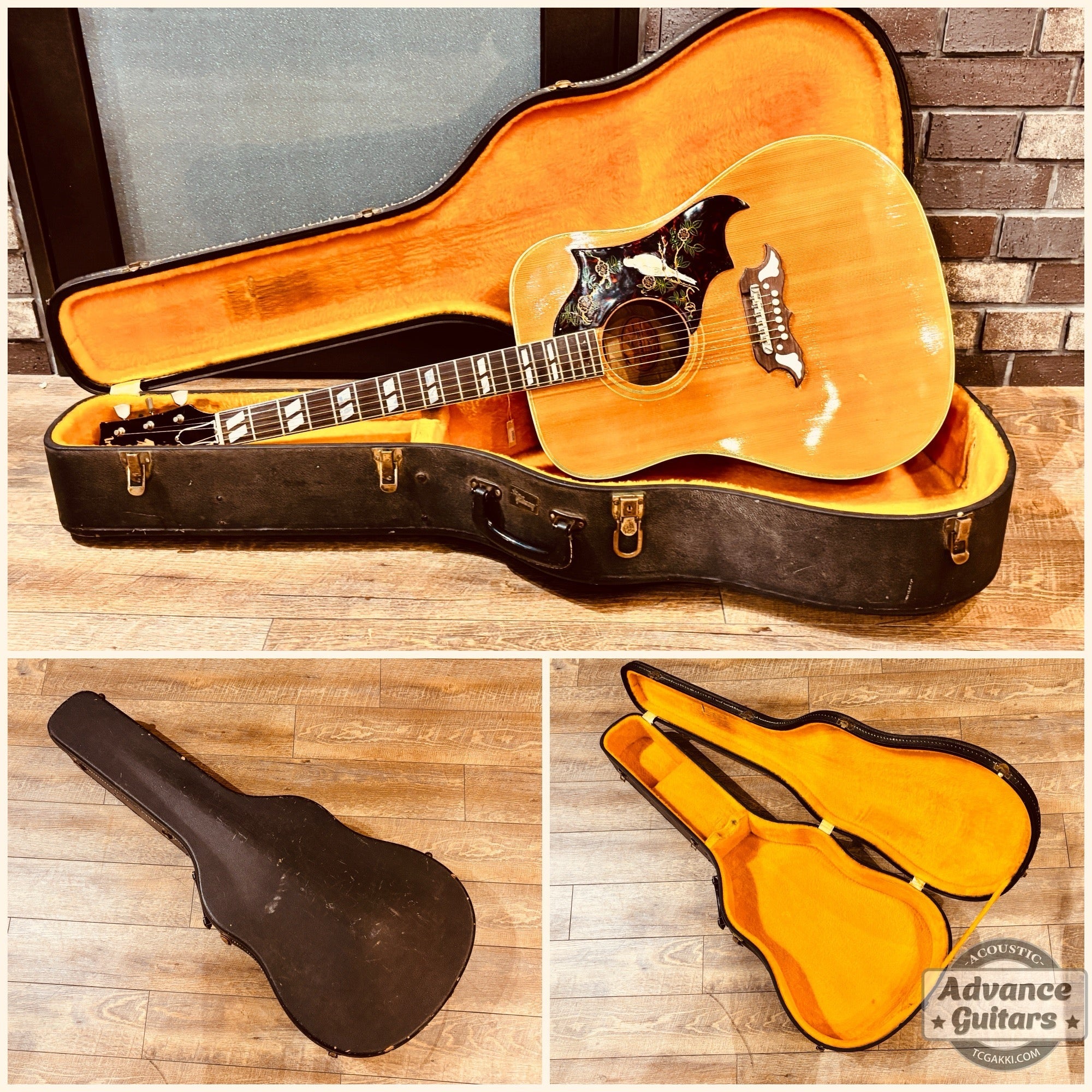 Gibson 1963年製 DOVE - TC楽器 - TCGAKKI