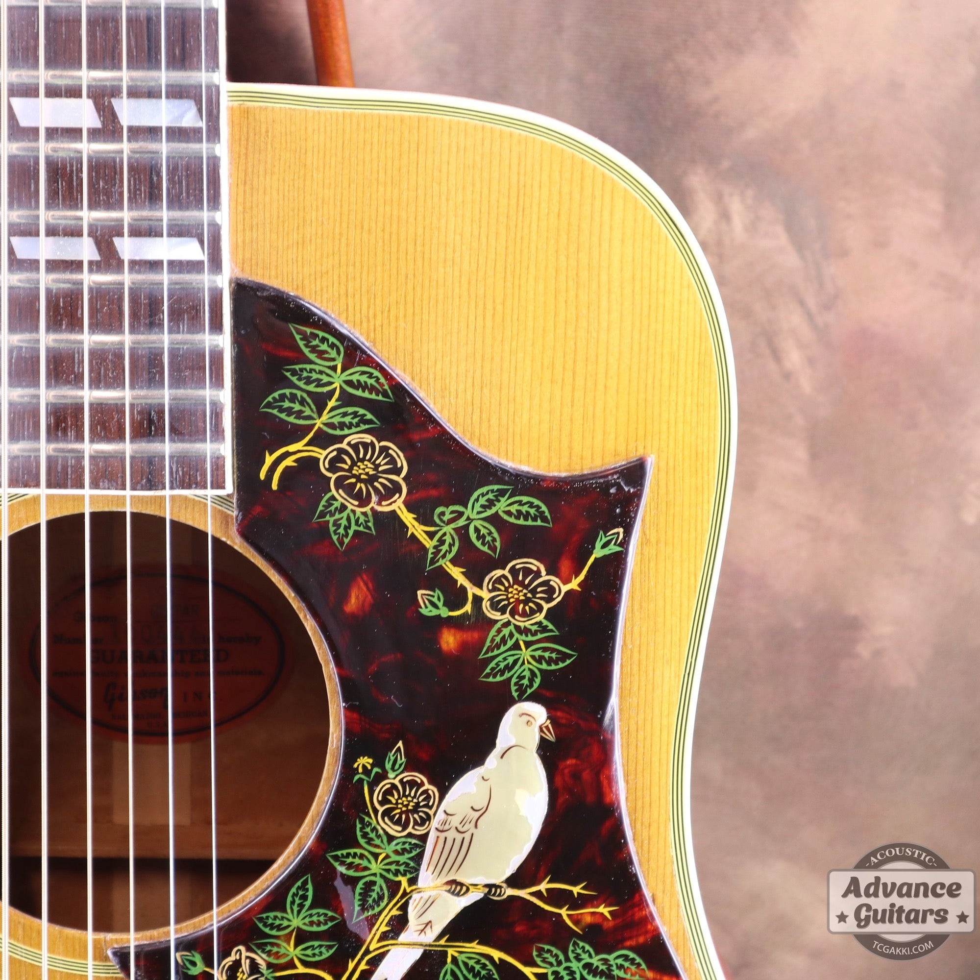 Gibson 1963年製 DOVE - TC楽器 - TCGAKKI