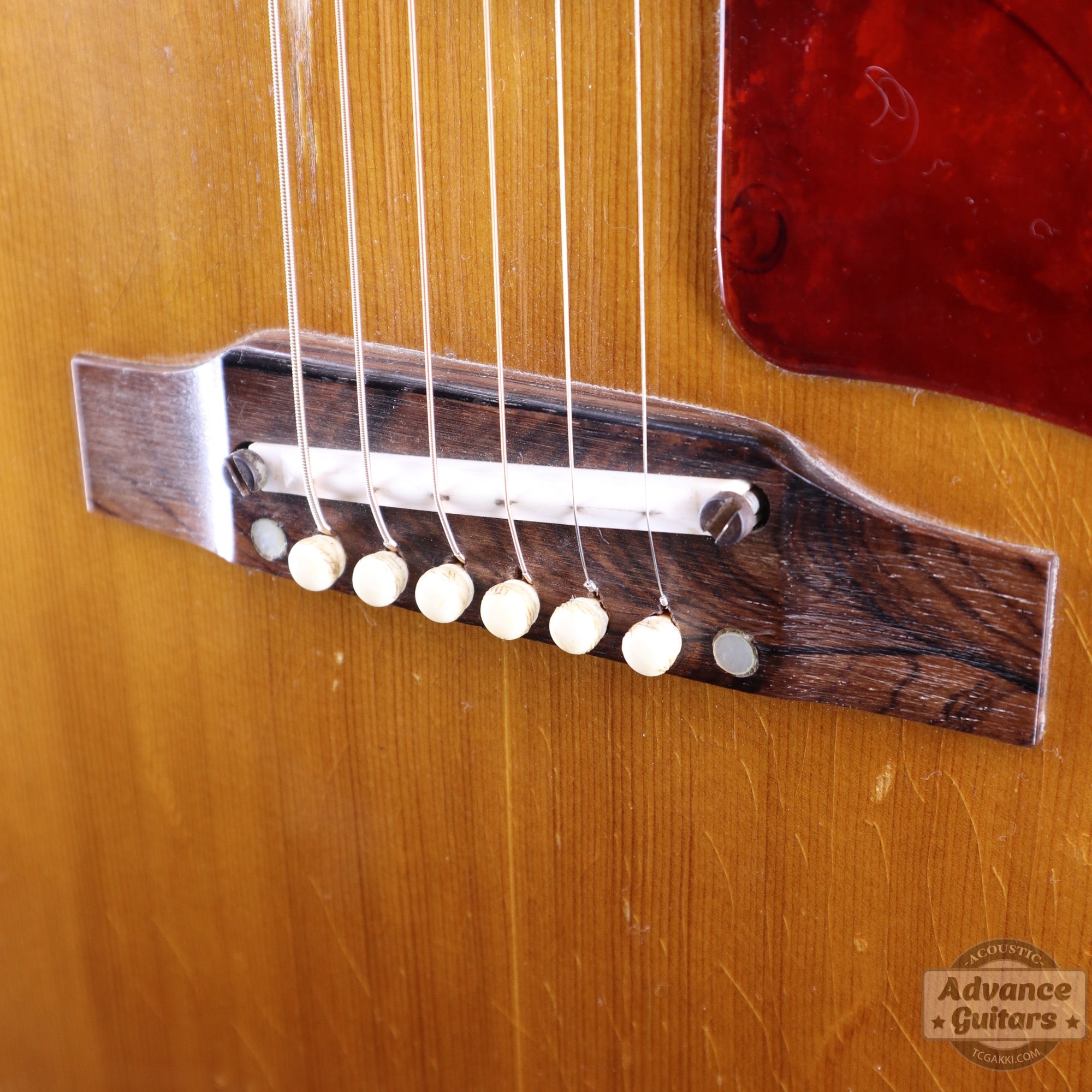 レア★Gibson ギタートレーディングカード Series1 フルコンプ50枚 Gibson 1964年製 J-50