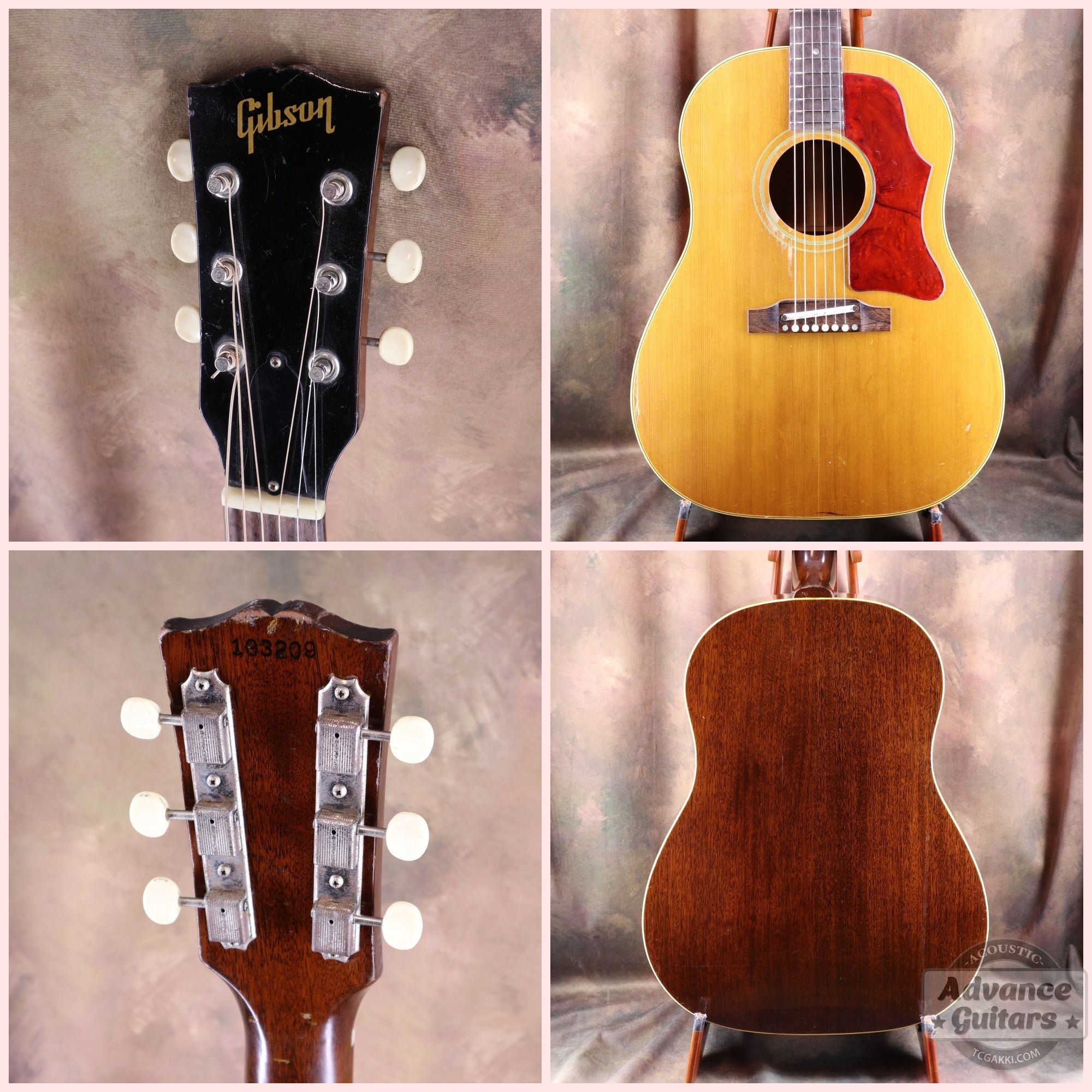 Gibson 1964年製 J-50 - TC楽器 - TCGAKKI