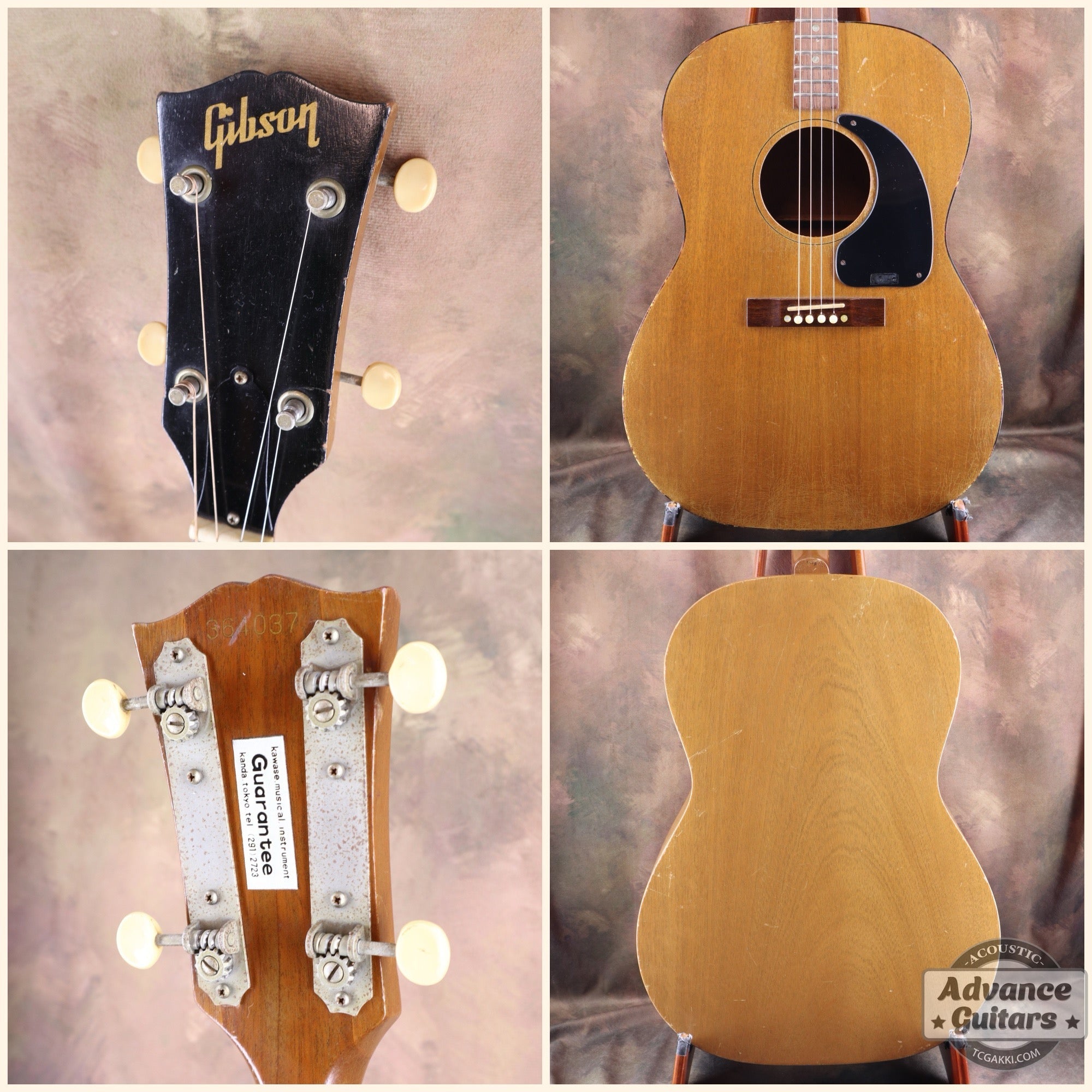 Gibson 1965年製 TG-0　 - TC楽器 - TCGAKKI