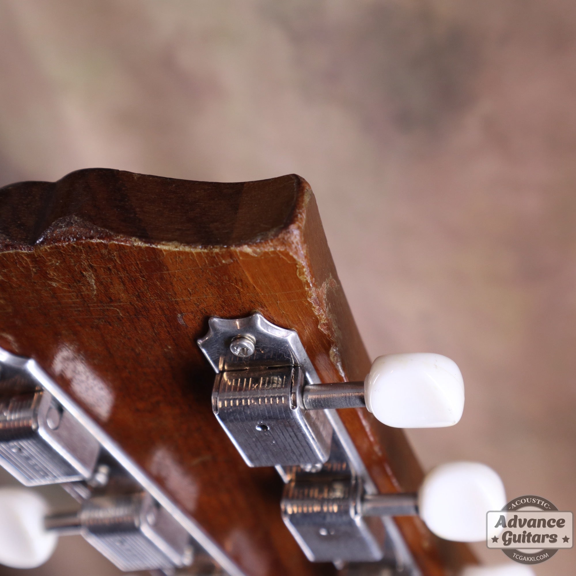 Gibson 1967年〜68年製 LG - 0 - TC楽器 - TCGAKKI
