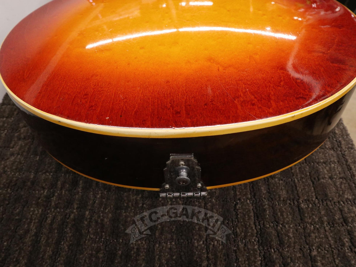 Gibson 1972 ES-175D - TC楽器 - TCGAKKI
