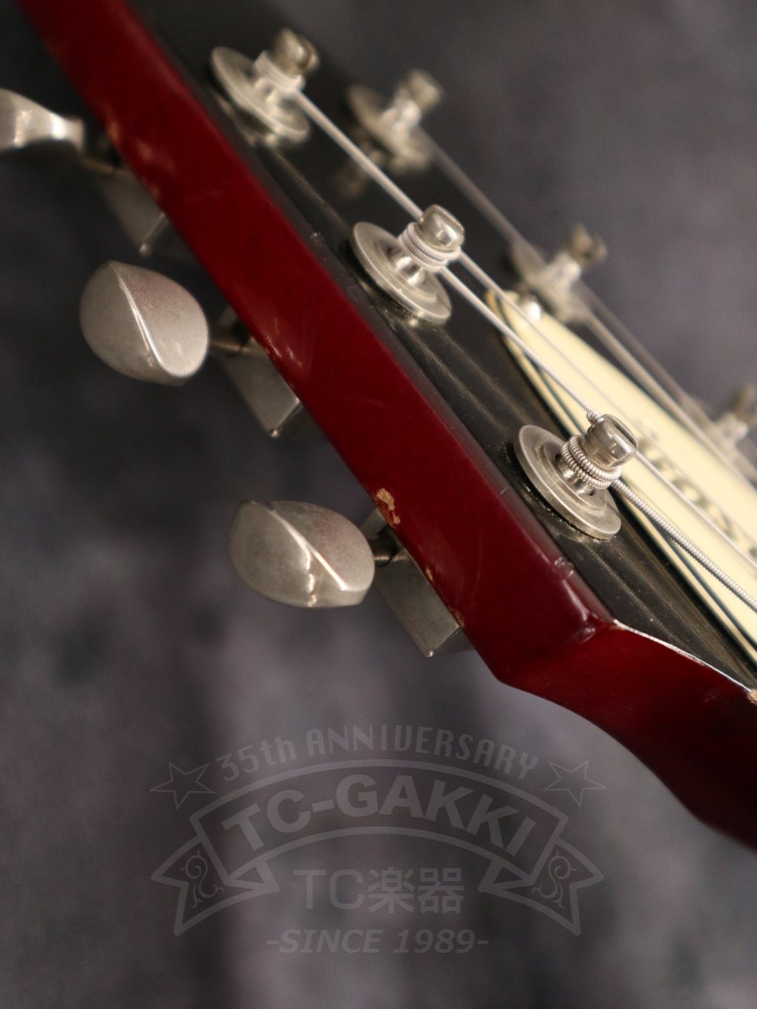 Gibson 1981 Flying V - TC楽器 - TCGAKKI