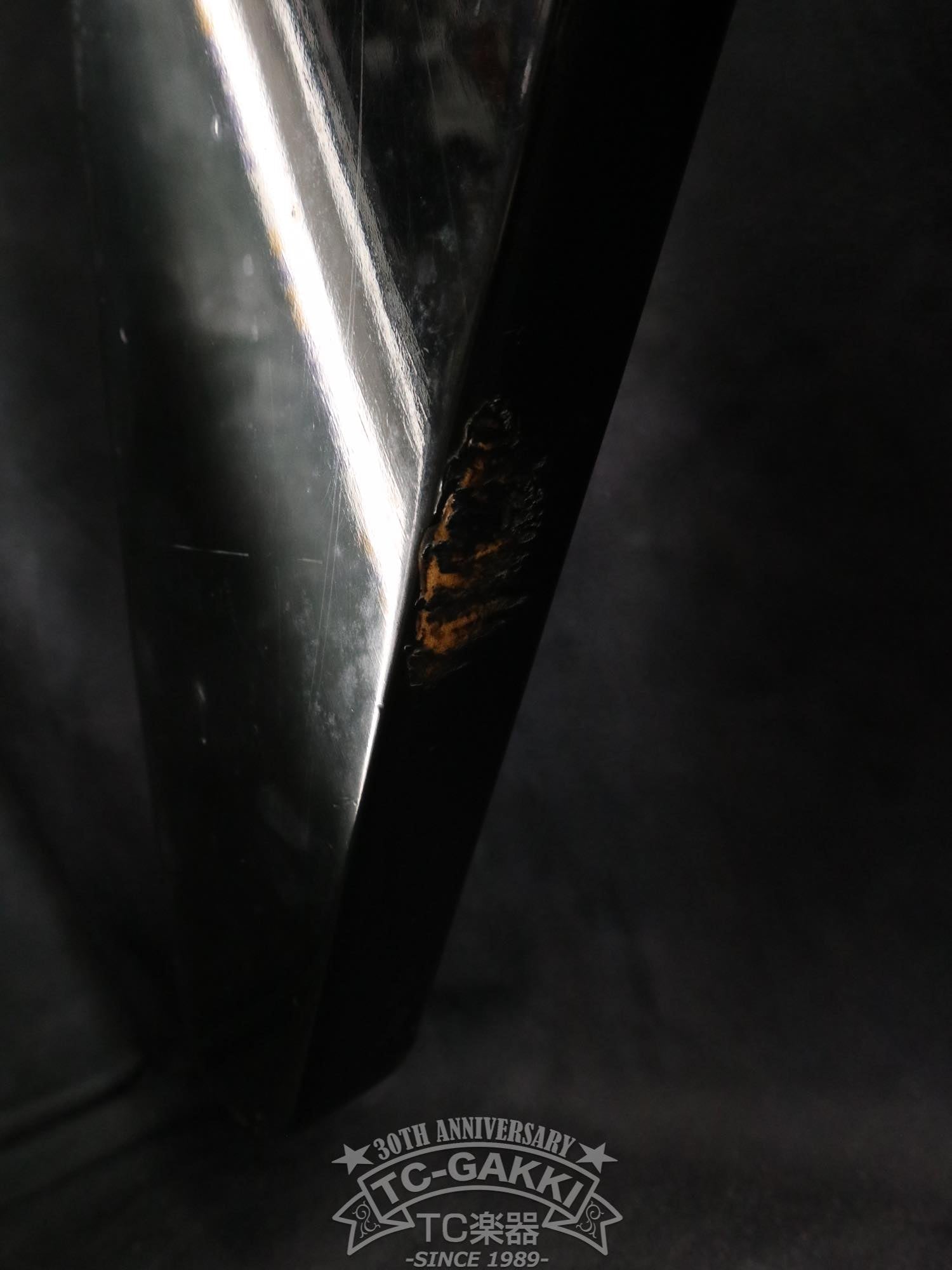 Gibson 1981 Flying V Bass - TC楽器 - TCGAKKI