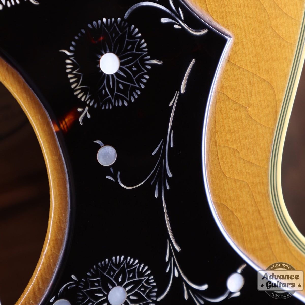 Gibson 1993 Special Edition J-200 - TC楽器 - TCGAKKI