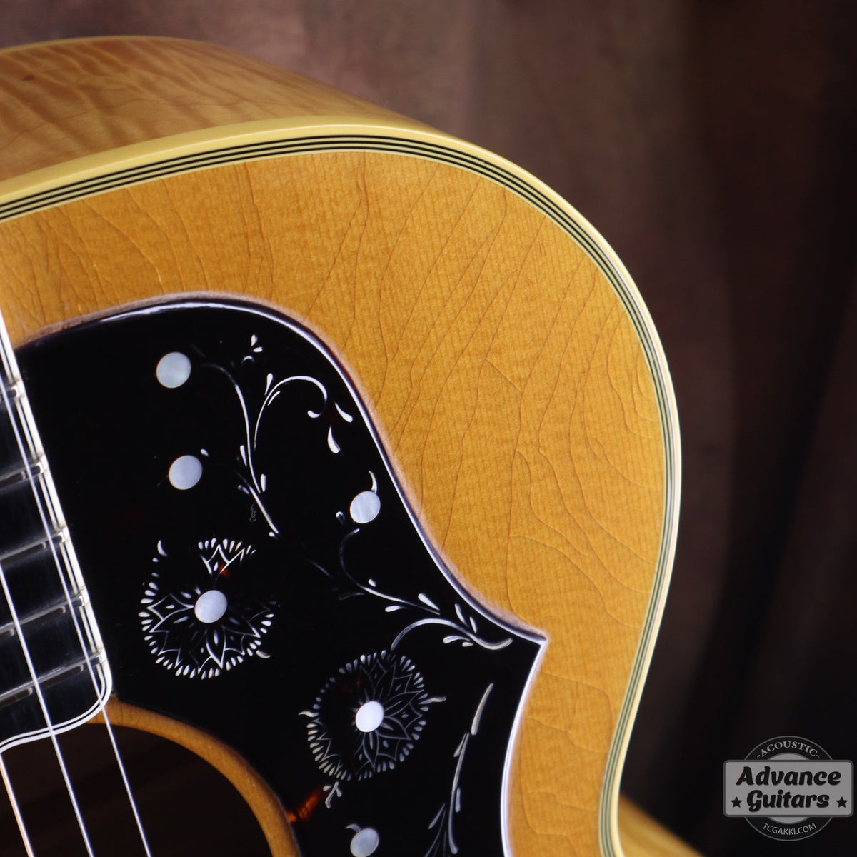 Gibson 1993 Special Edition J-200 - TC楽器 - TCGAKKI