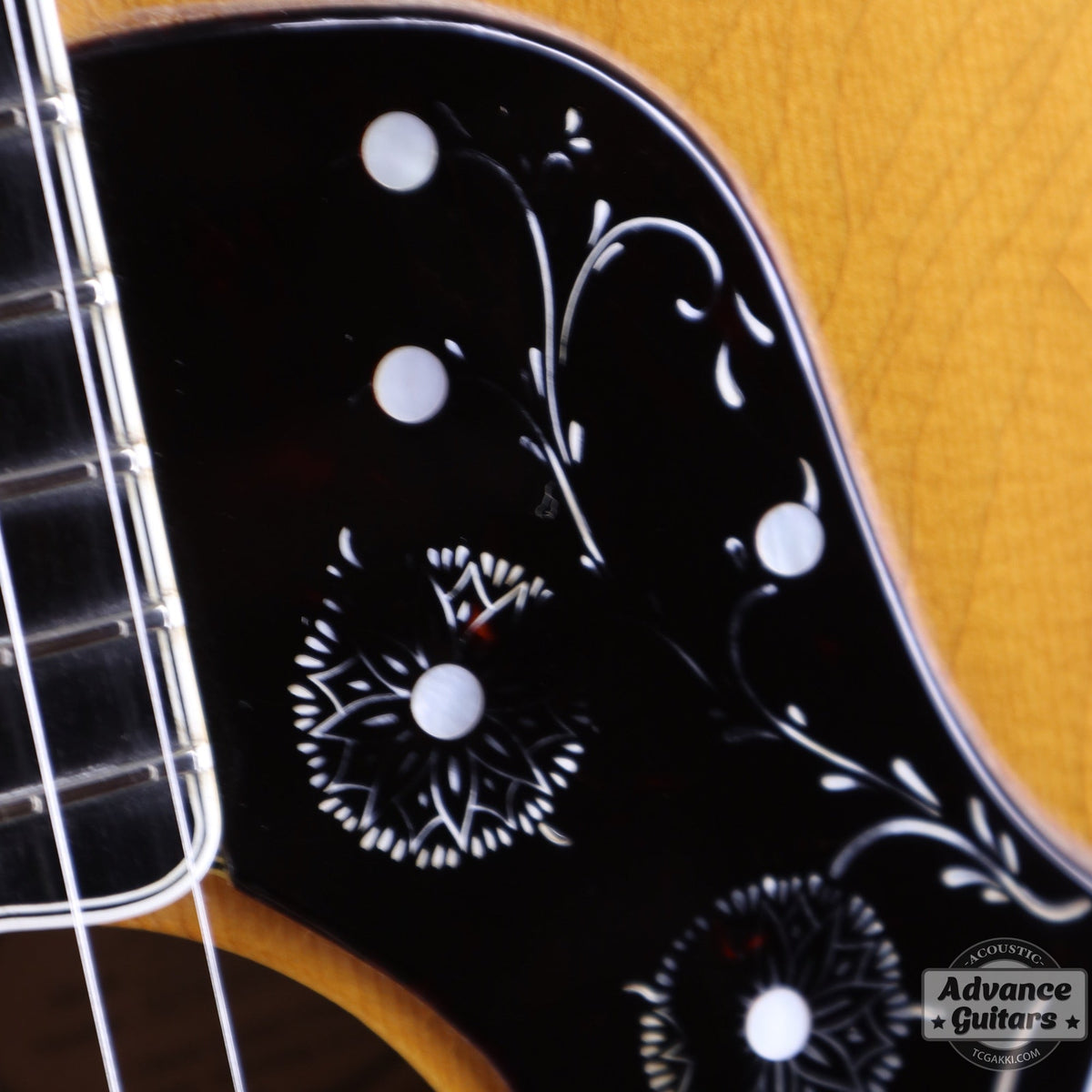 Gibson 1993 Special Edition J-200 - TC楽器 - TCGAKKI