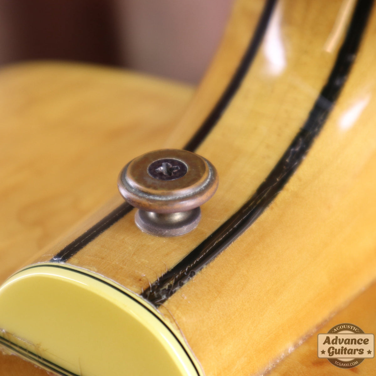 Gibson 1993 Special Edition J-200 - TC楽器 - TCGAKKI