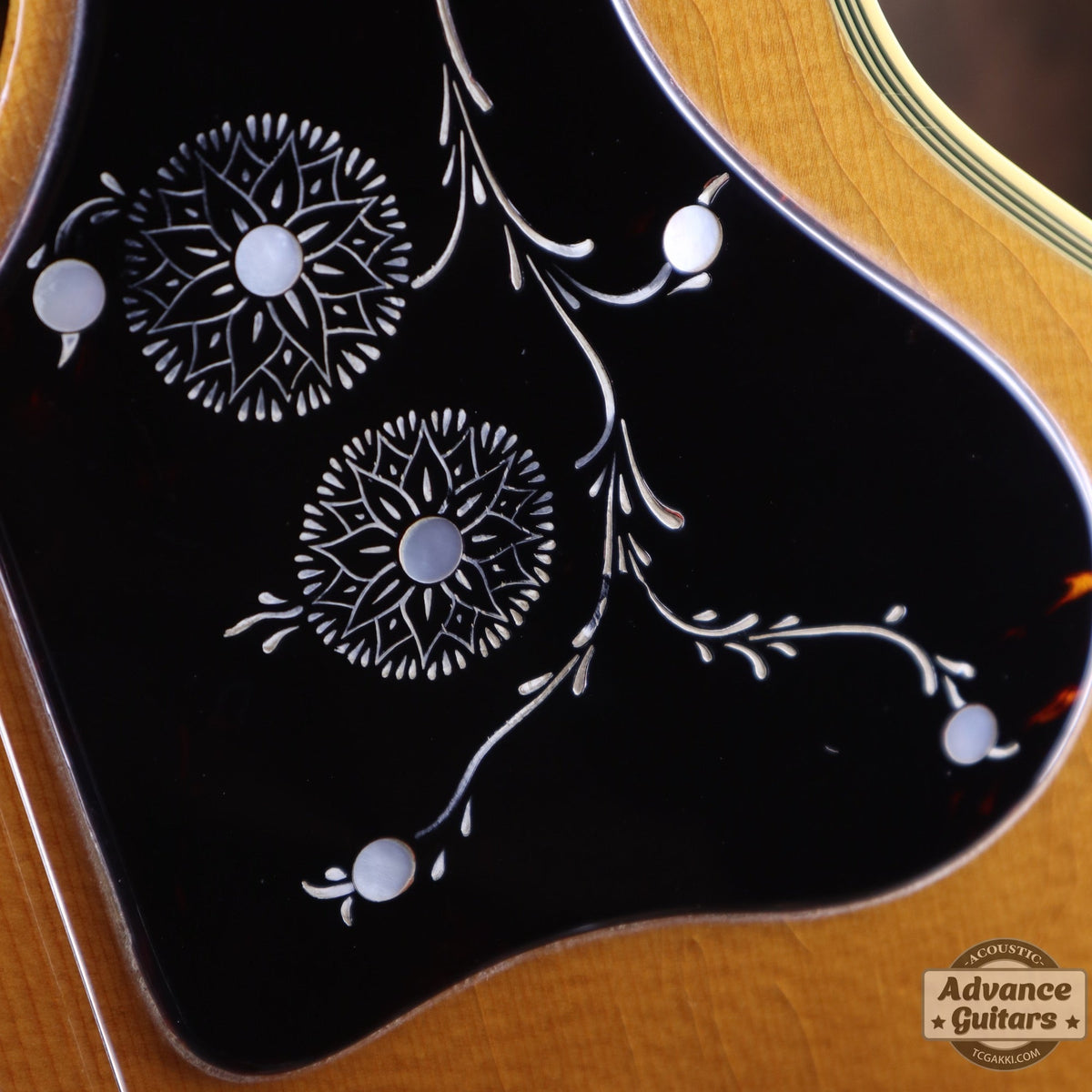 Gibson 1993 Special Edition J-200 - TC楽器 - TCGAKKI