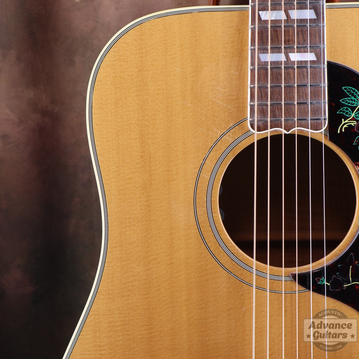 Gibson 1996-97年製 Dove in Flight - TC楽器 - TCGAKKI