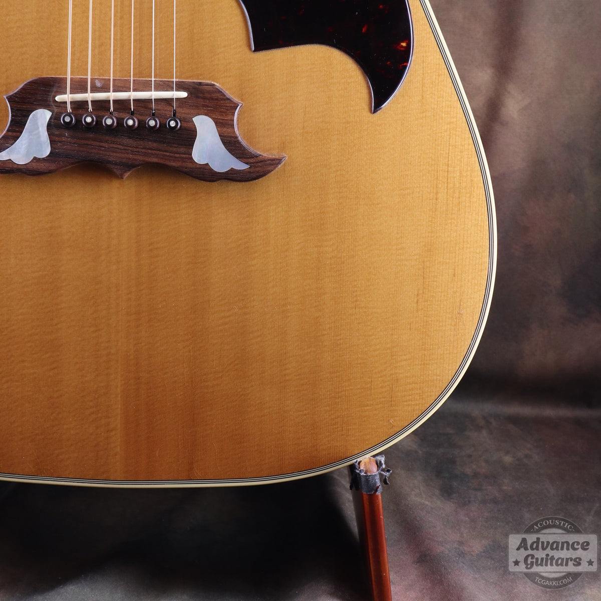 Gibson 1996-97年製 Dove in Flight - TC楽器 - TCGAKKI