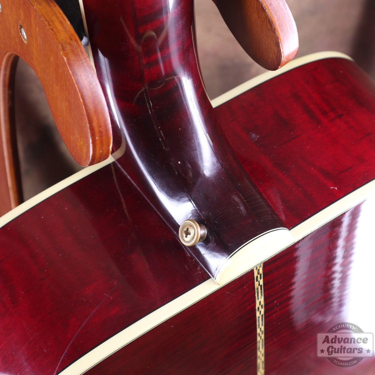 Gibson 1996-97年製 Dove in Flight - TC楽器 - TCGAKKI