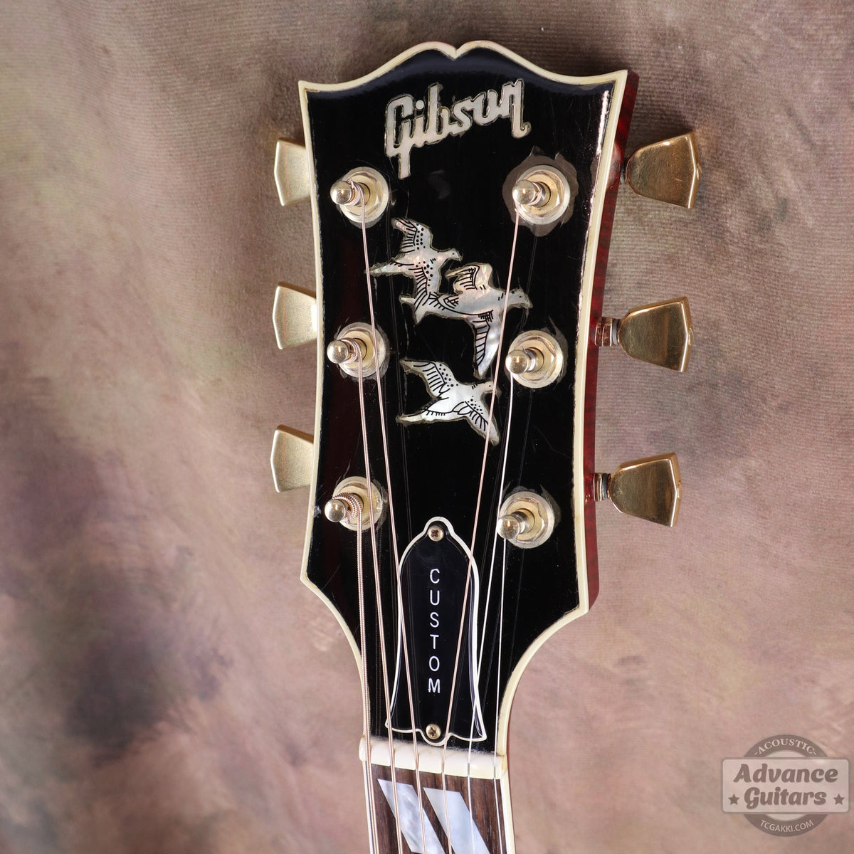 Gibson 1996-97年製 Dove in Flight - TC楽器 - TCGAKKI