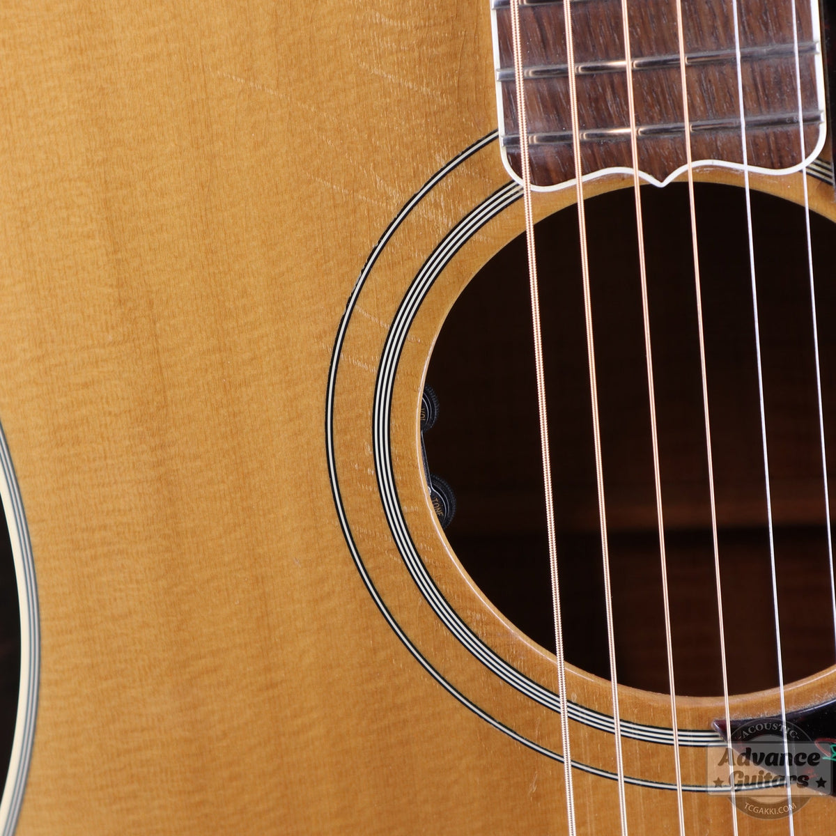 Gibson 1996-97年製 Dove in Flight - TC楽器 - TCGAKKI