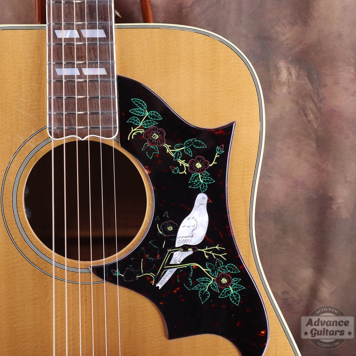 Gibson 1996-97年製 Dove in Flight - TC楽器 - TCGAKKI