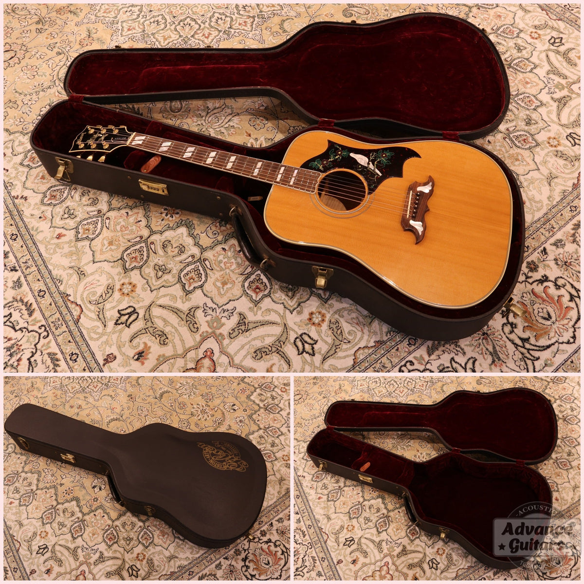 Gibson 1996-97年製 Dove in Flight - TC楽器 - TCGAKKI