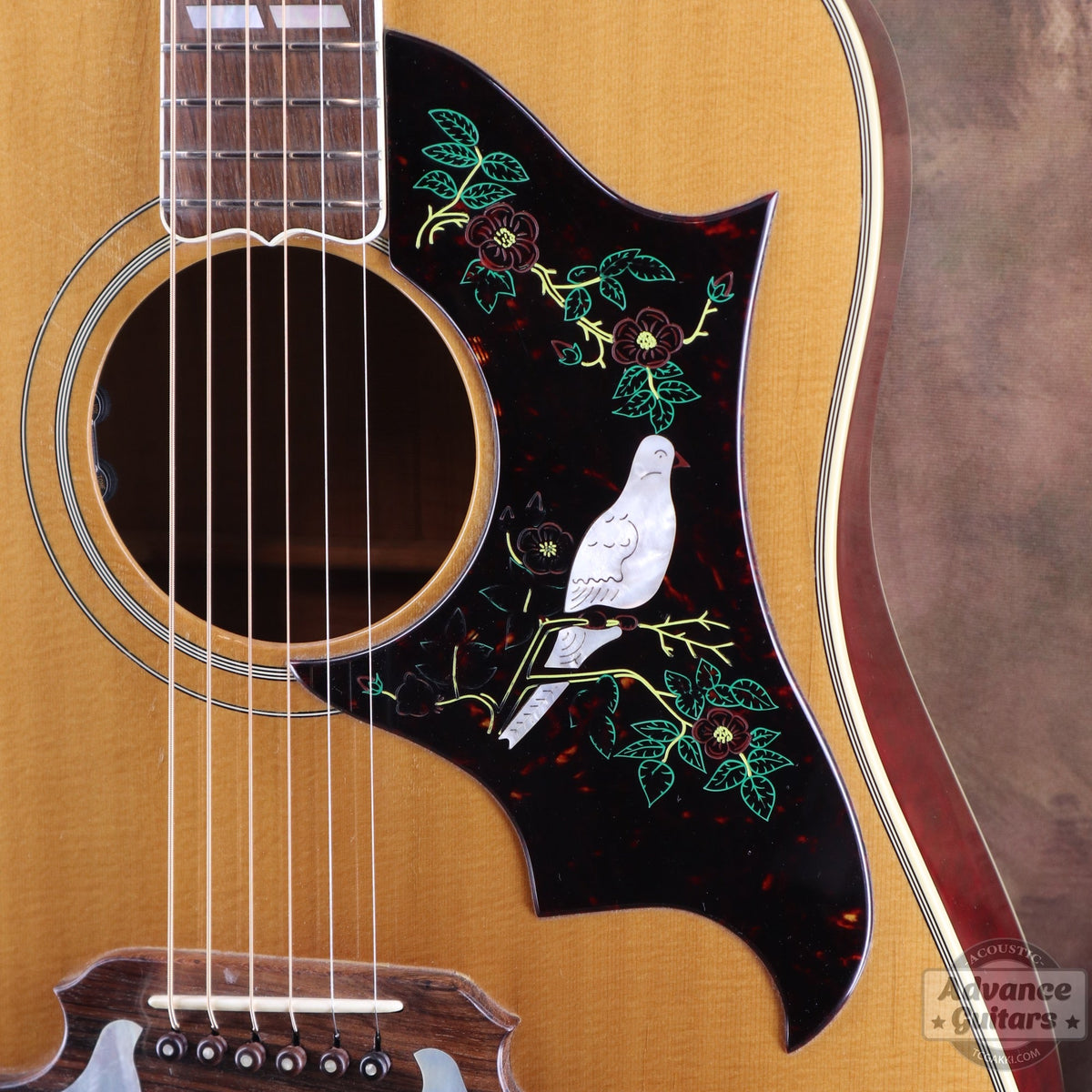 Gibson 1996-97年製 Dove in Flight - TC楽器 - TCGAKKI